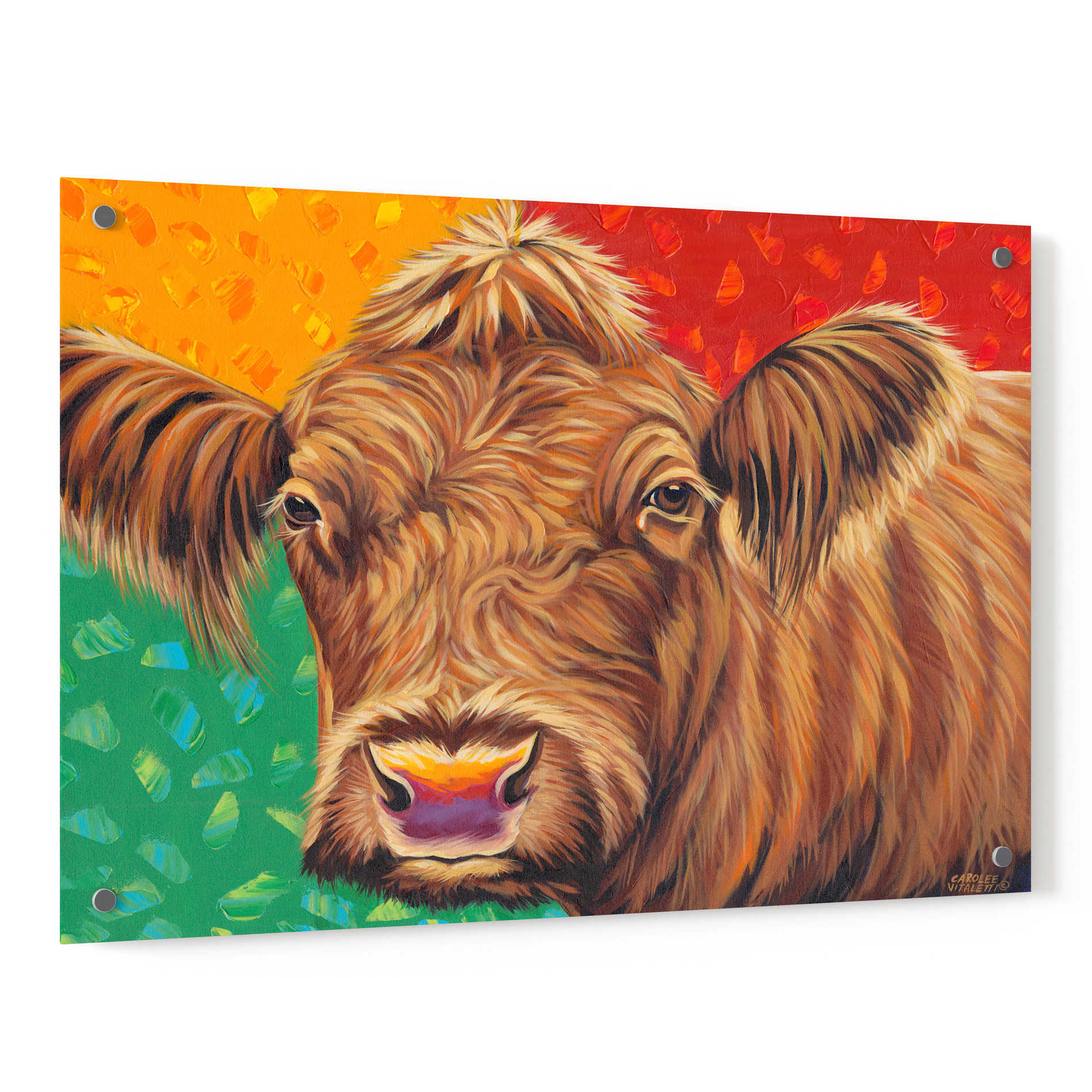 Epic Art 'Colorful Country Cows I' by Carolee Vitaletti, Acrylic Glass Wall Art,36x24