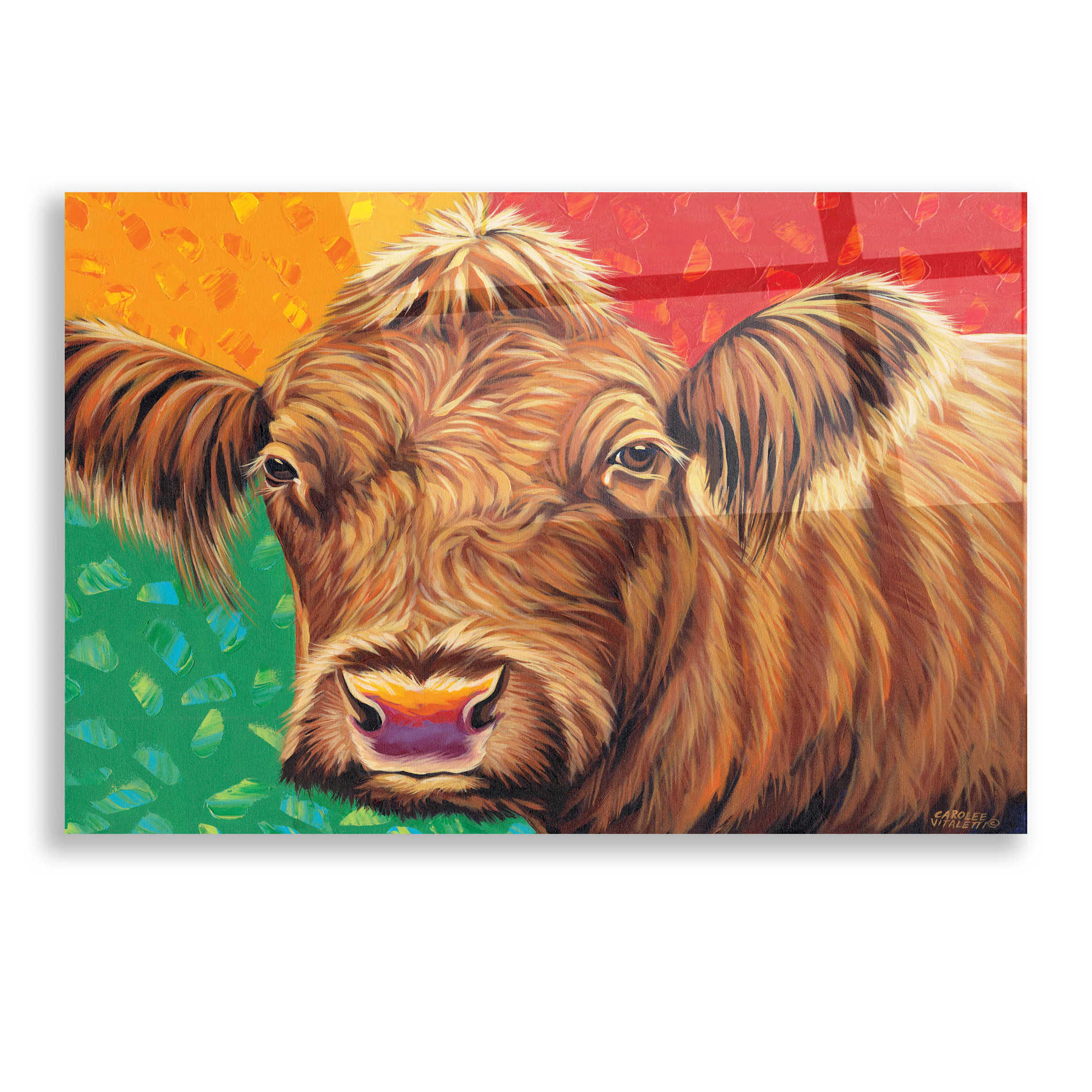 Epic Art 'Colorful Country Cows I' by Carolee Vitaletti, Acrylic Glass Wall Art