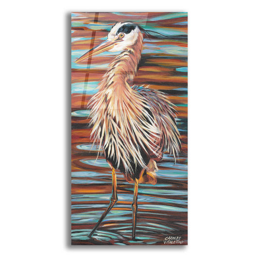 Epic Art 'Watchful Heron I' by Carolee Vitaletti, Acrylic Glass Wall Art