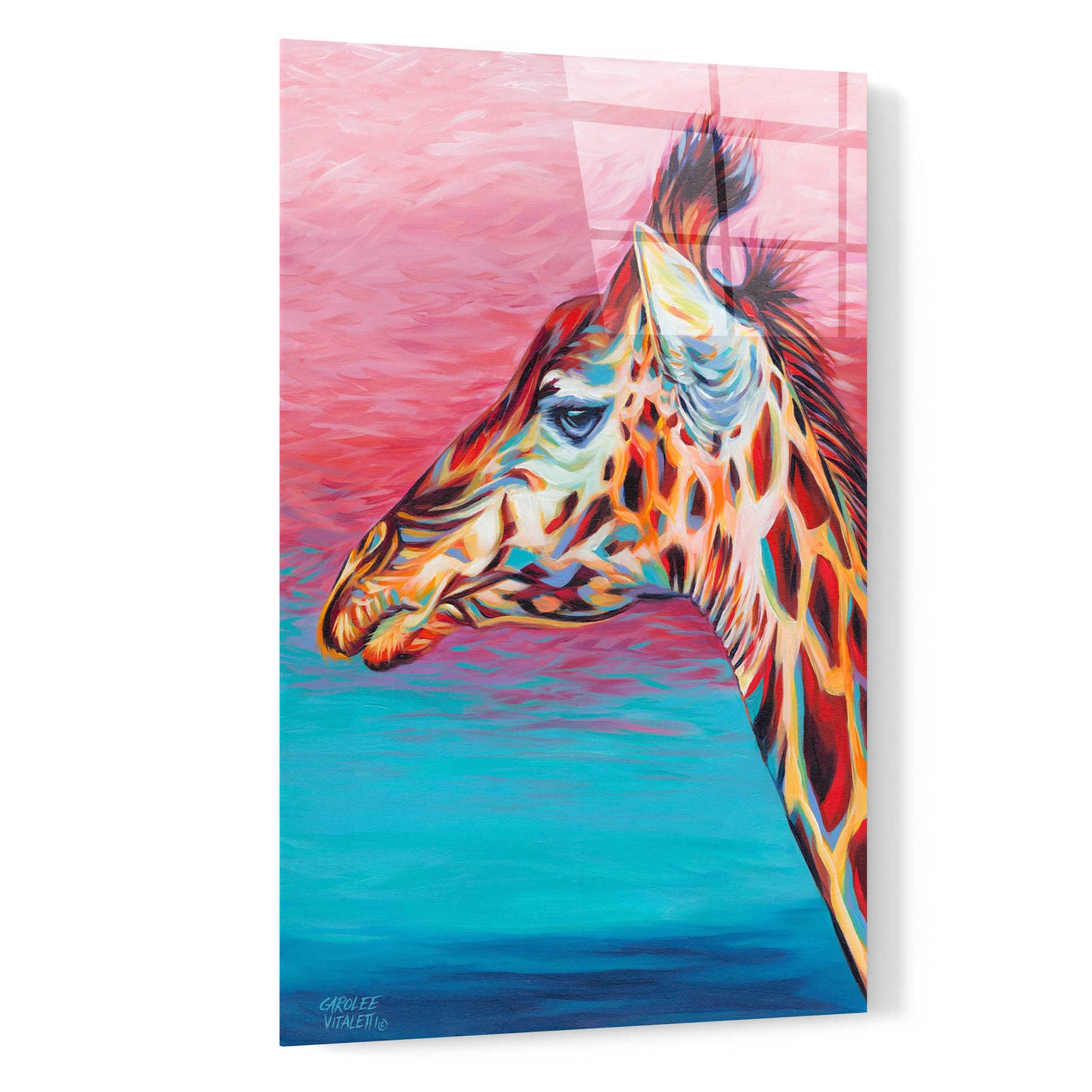 Epic Art 'Hippie Llama I' by Carolee Vitaletti, Acrylic Glass Wall Art,16x24