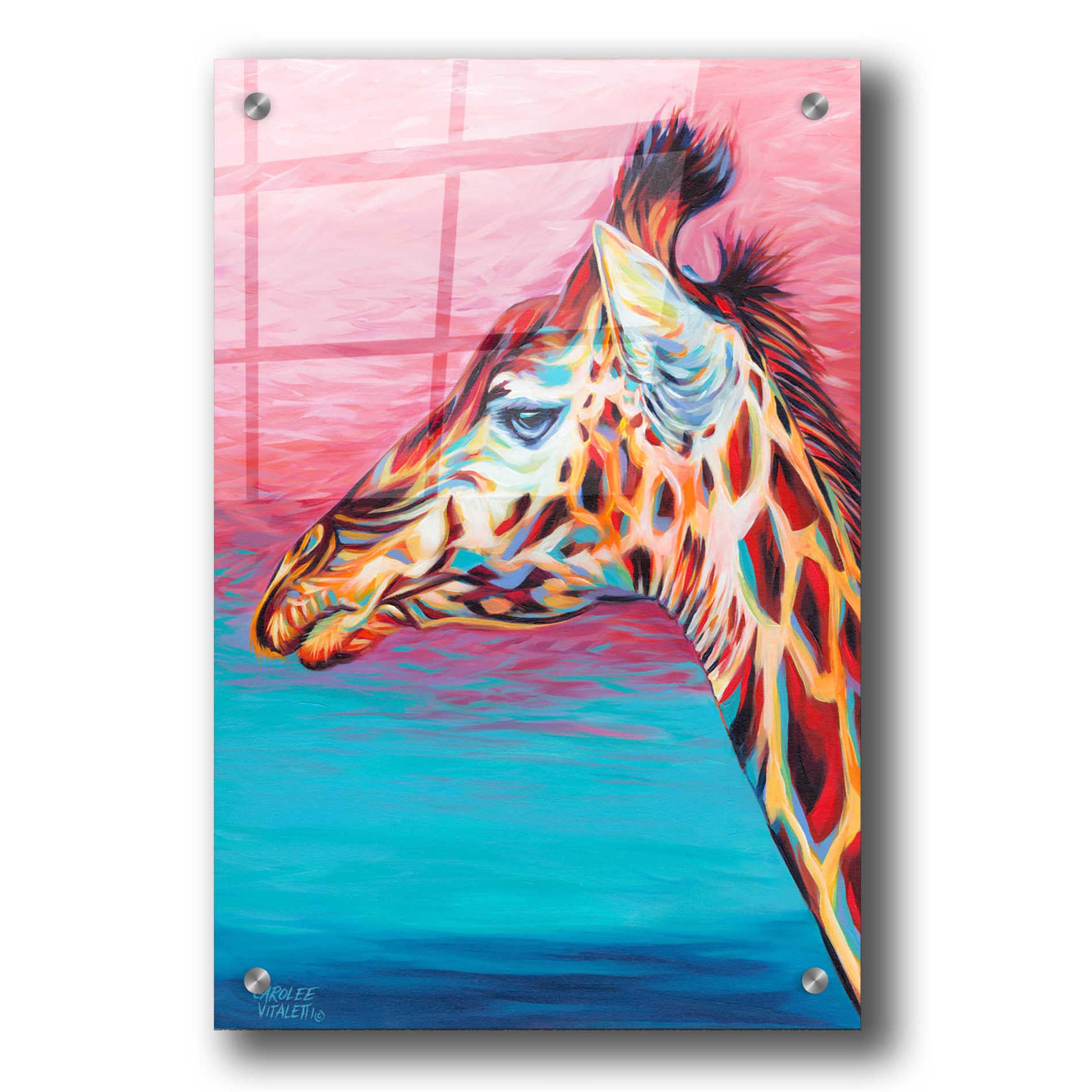 Epic Art 'Hippie Llama I' by Carolee Vitaletti, Acrylic Glass Wall Art,24x36
