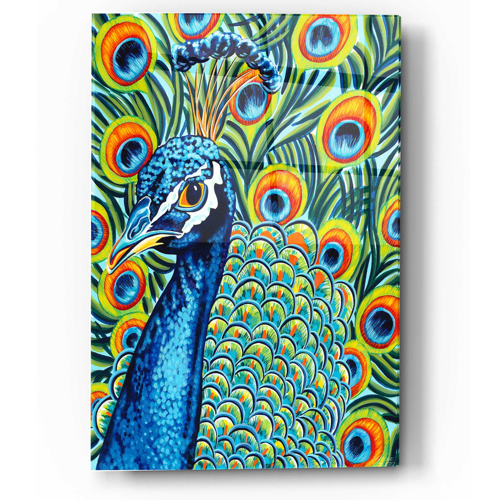 Epic Art 'Plumed Peacock II' by Carolee Vitaletti, Acrylic Glass Wall Art,12x16