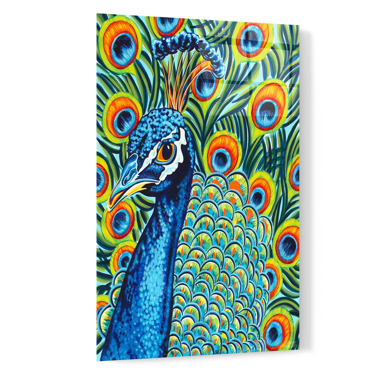 Epic Art 'Plumed Peacock II' by Carolee Vitaletti, Acrylic Glass Wall Art,16x24