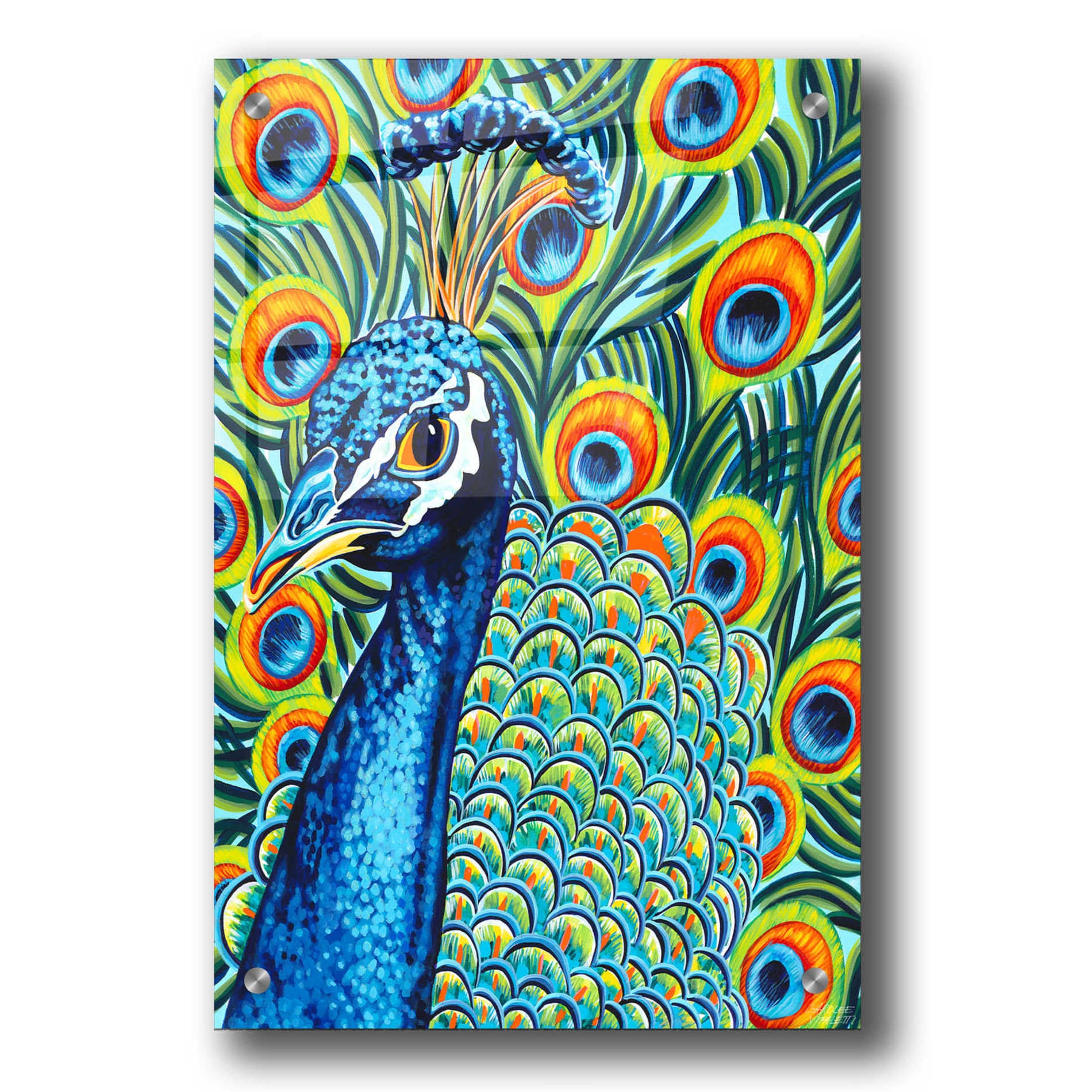 Epic Art 'Plumed Peacock II' by Carolee Vitaletti, Acrylic Glass Wall Art,24x36