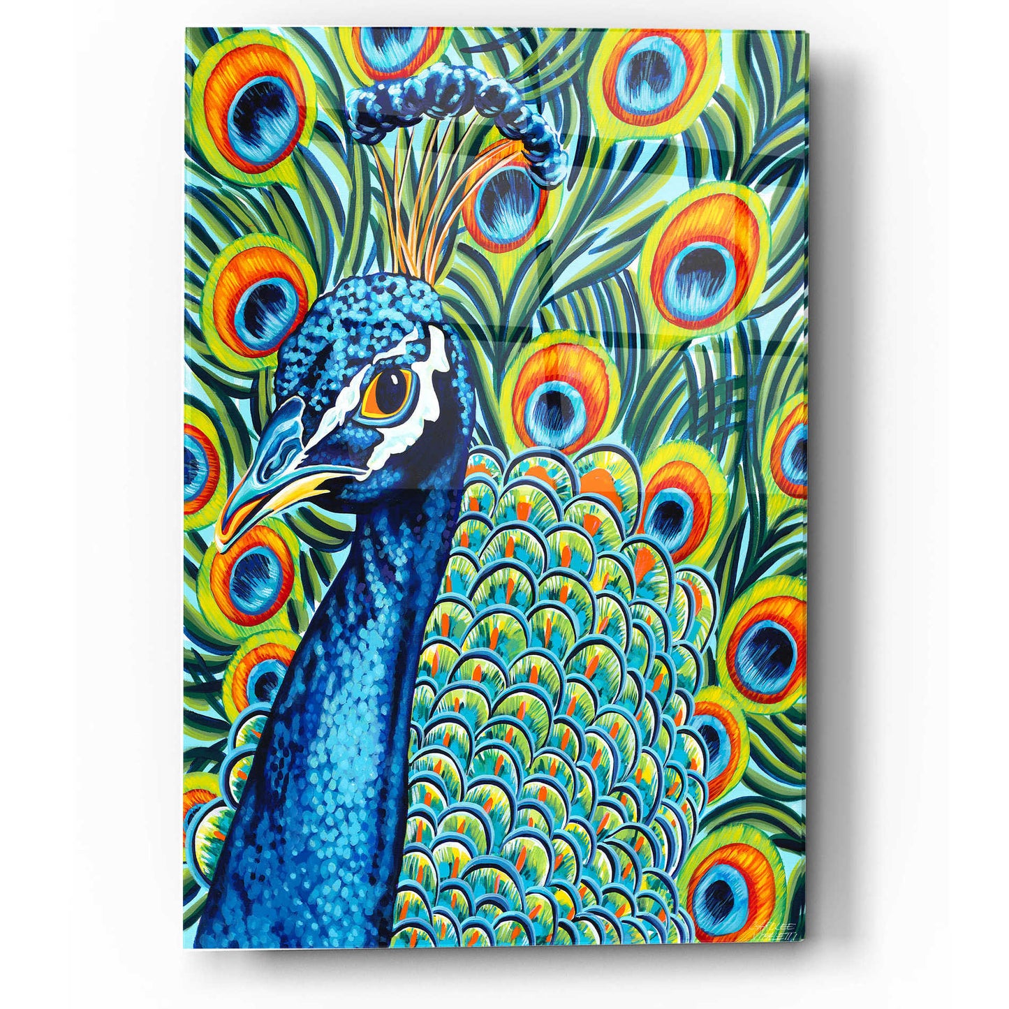 Epic Art 'Plumed Peacock II' by Carolee Vitaletti, Acrylic Glass Wall Art