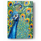 Epic Art 'Plumed Peacock II' by Carolee Vitaletti, Acrylic Glass Wall Art