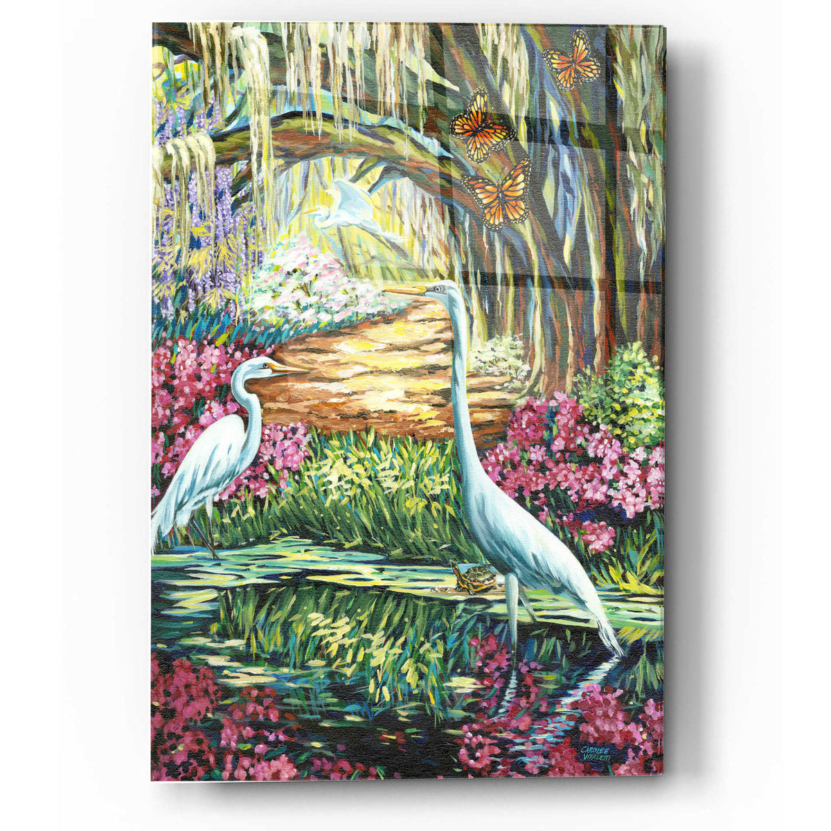 Epic Art 'Plumed Peacock I' by Carolee Vitaletti, Acrylic Glass Wall Art