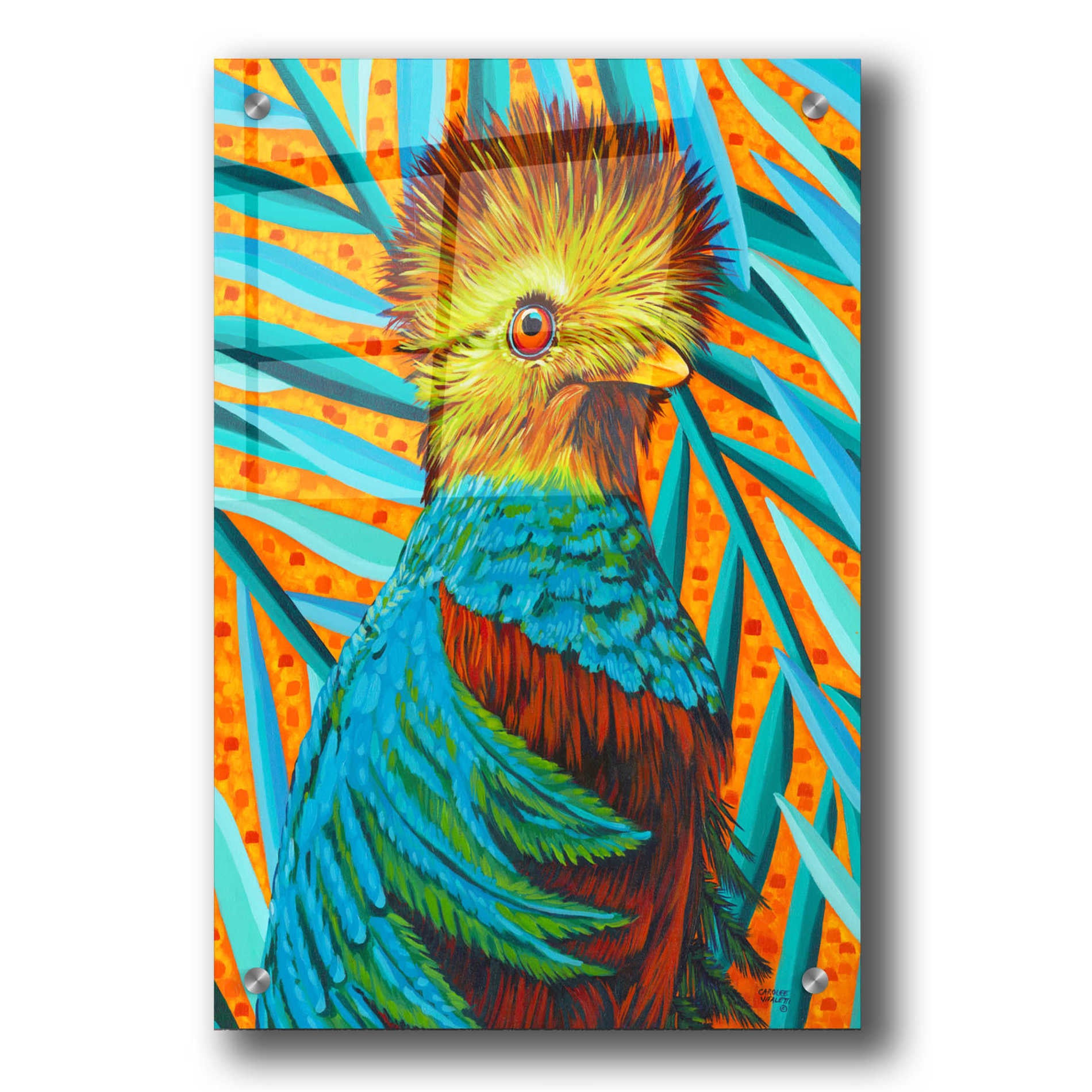 Epic Art 'Peaceful Heron II' by Carolee Vitaletti, Acrylic Glass Wall Art,24x36