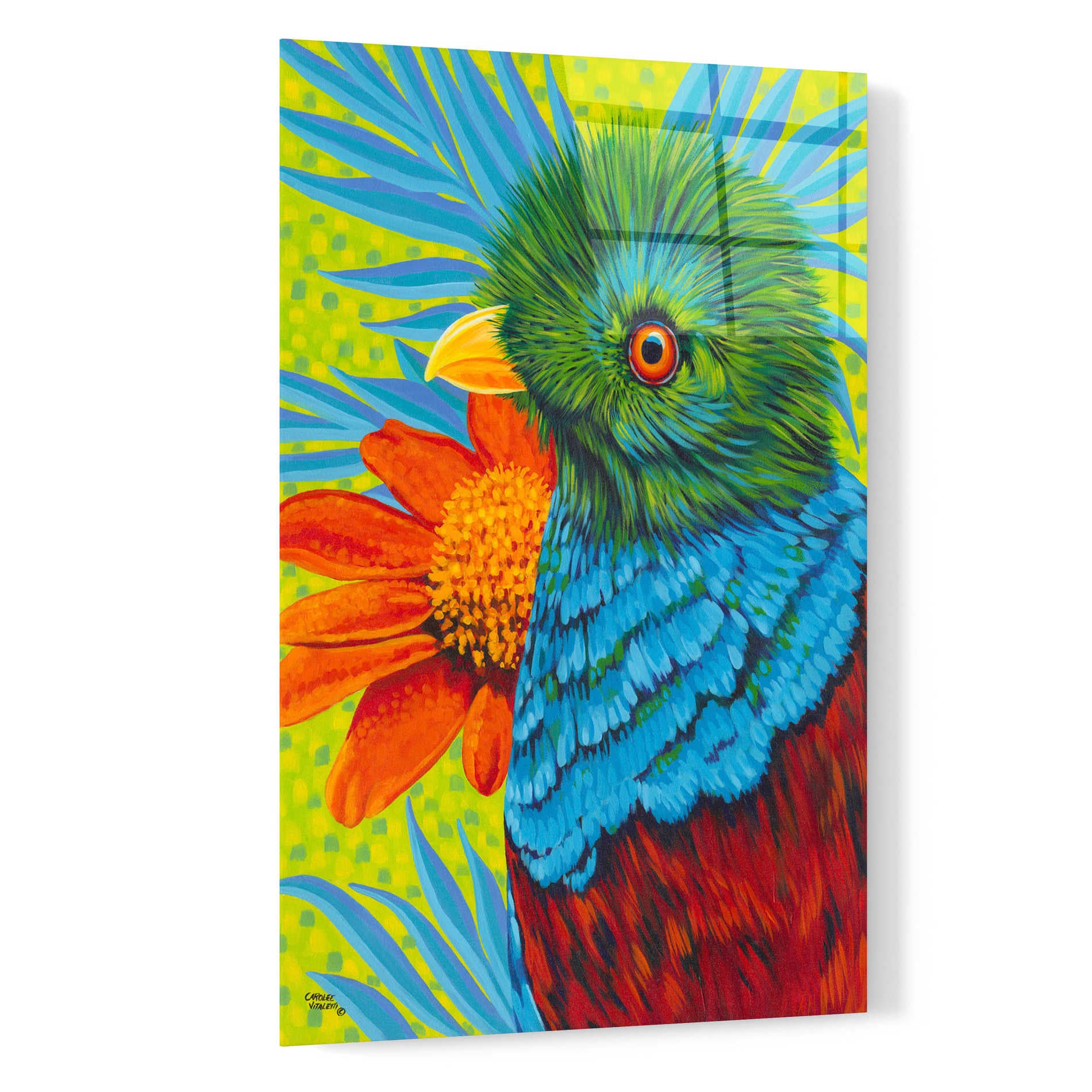 Epic Art 'Bird in the Tropics I' by Carolee Vitaletti, Acrylic Glass Wall Art,16x24