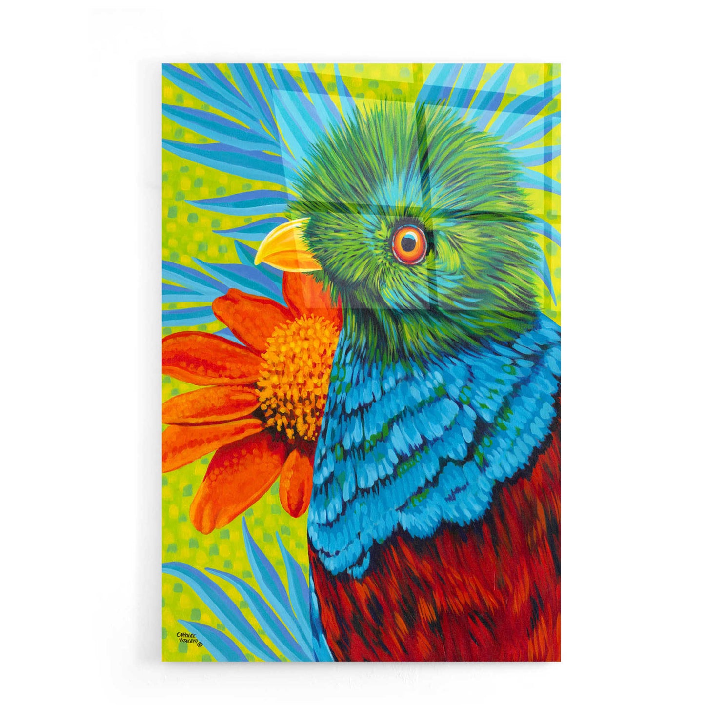 Epic Art 'Bird in the Tropics I' by Carolee Vitaletti, Acrylic Glass Wall Art,16x24