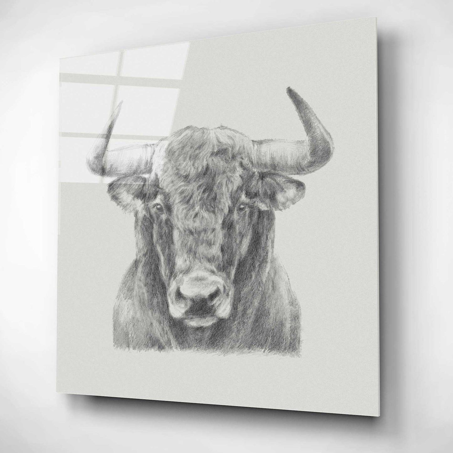 Epic Art 'Black & White Bull' by Ethan Harper, Acrylic Glass Wall Art,12x12