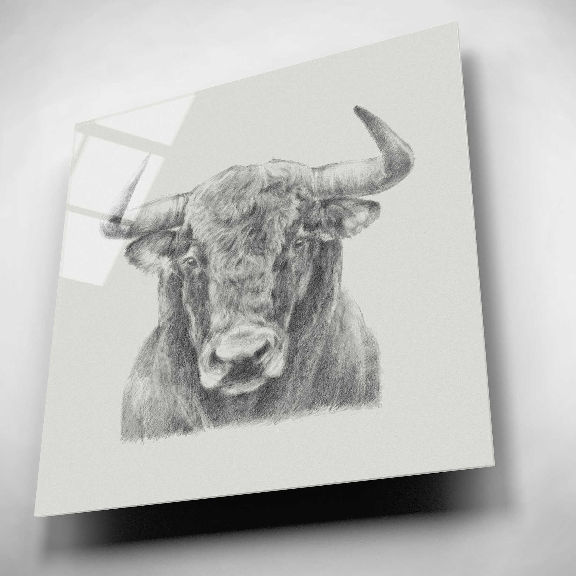 Epic Art 'Black & White Bull' by Ethan Harper, Acrylic Glass Wall Art,12x12