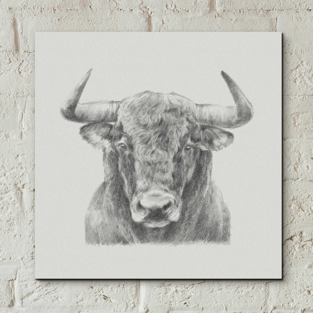 Epic Art 'Black & White Bull' by Ethan Harper, Acrylic Glass Wall Art,12x12