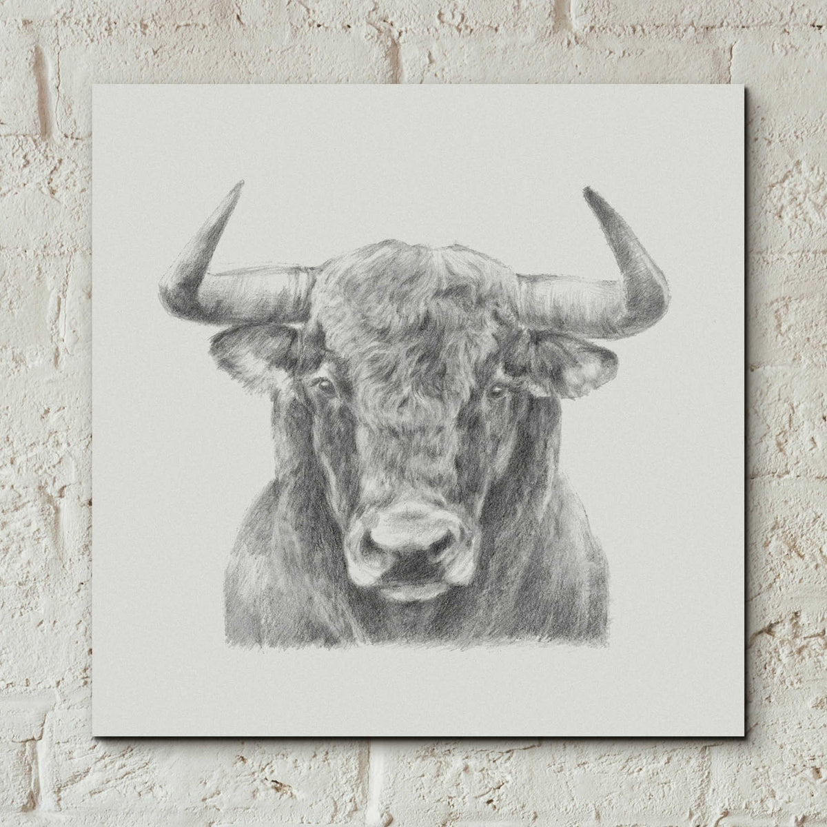 Epic Art 'Black & White Bull' by Ethan Harper, Acrylic Glass Wall Art,12x12