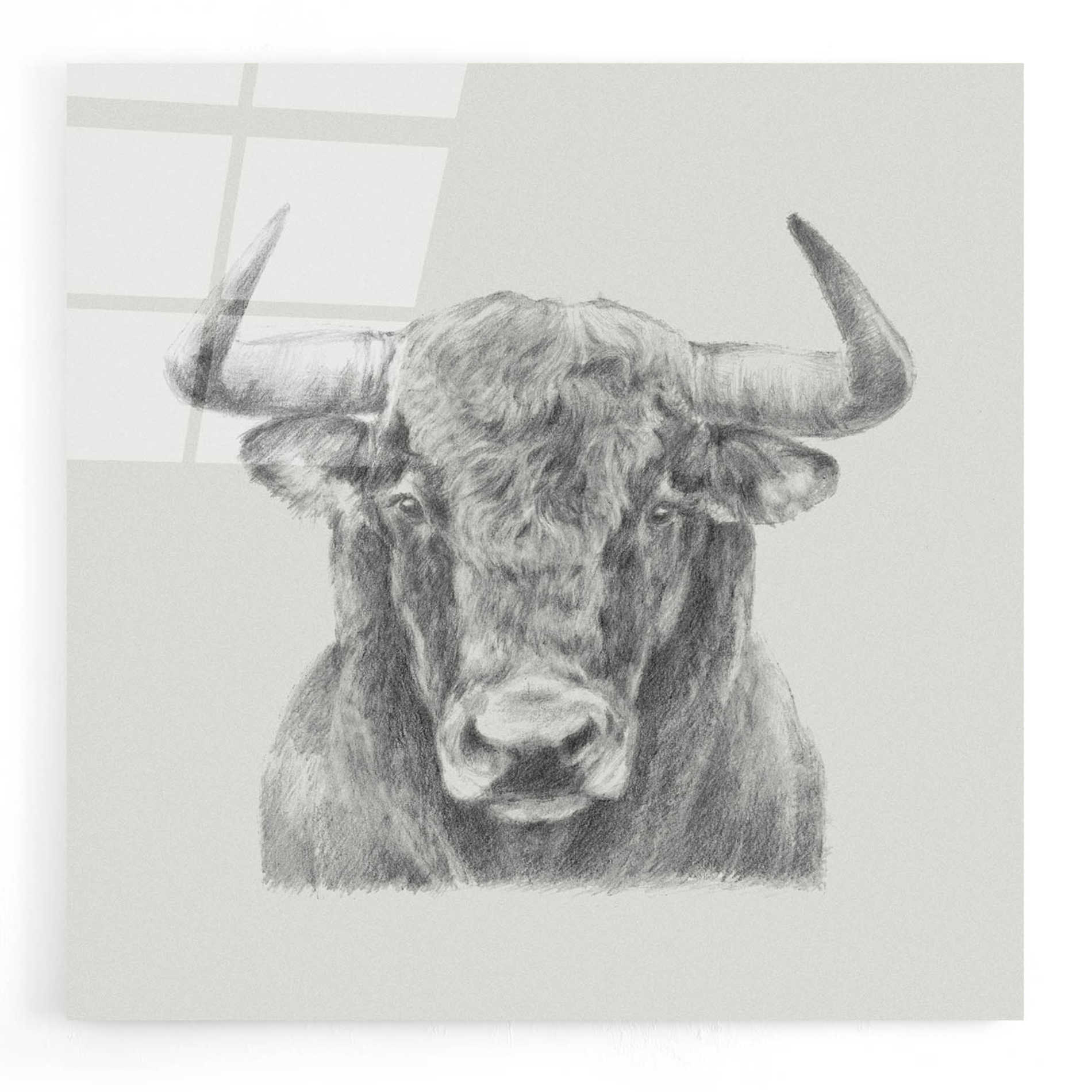 Epic Art 'Black & White Bull' by Ethan Harper, Acrylic Glass Wall Art,12x12