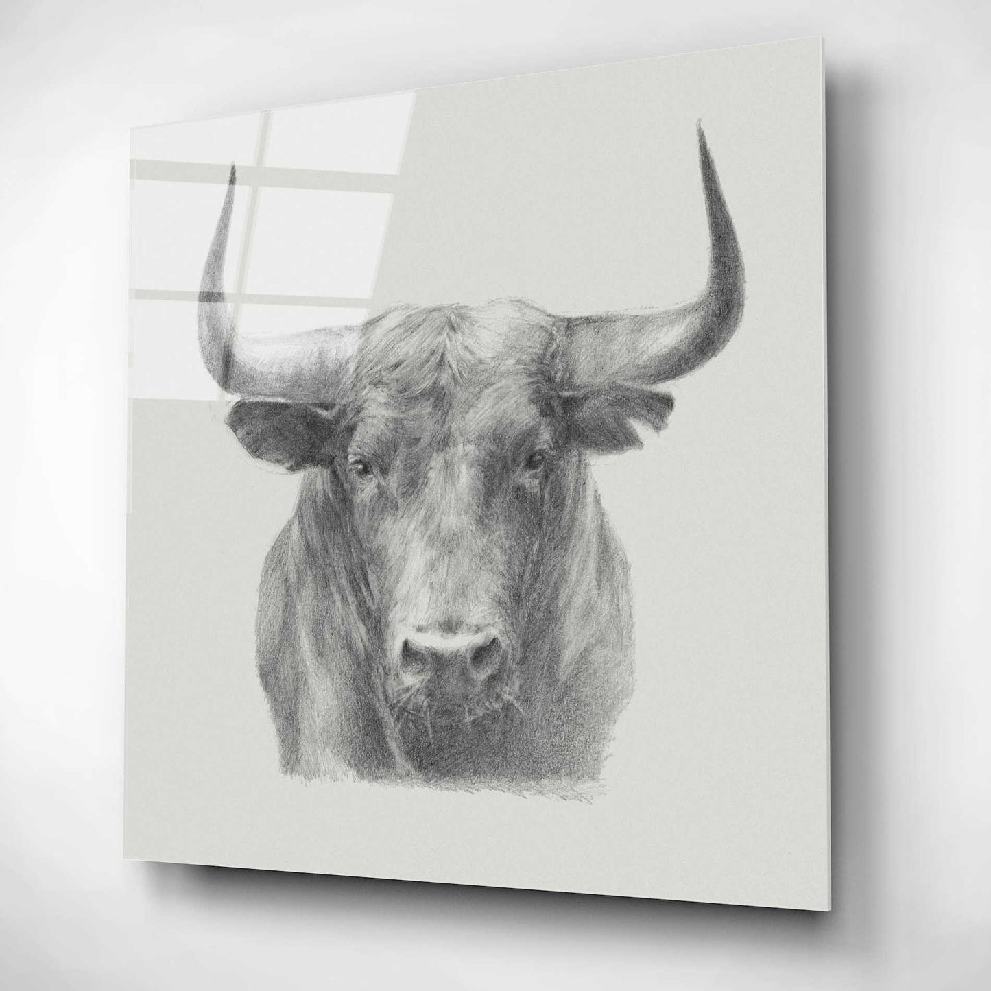 Epic Art 'Black Bull' by Ethan Harper, Acrylic Glass Wall Art,12x12