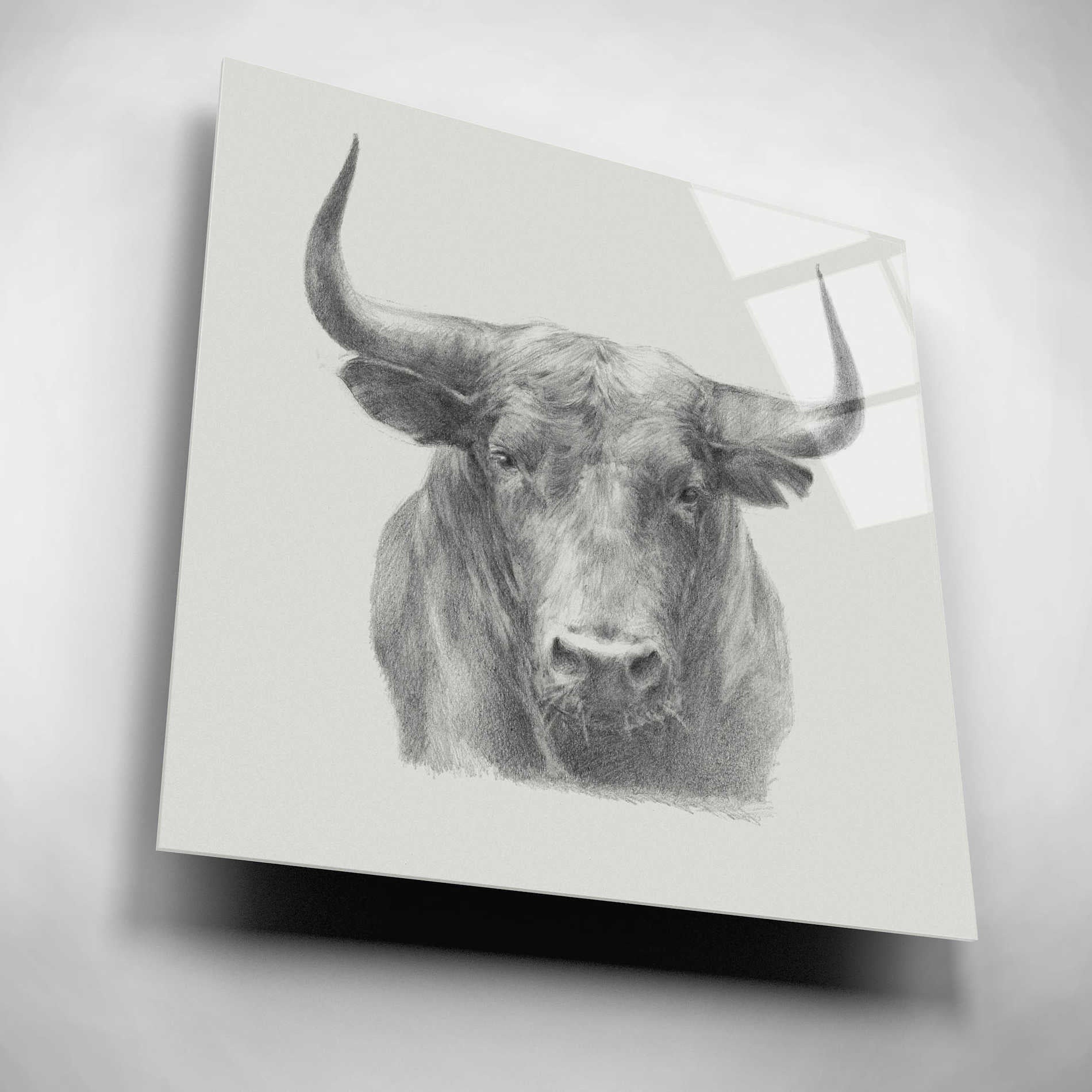 Epic Art 'Black Bull' by Ethan Harper, Acrylic Glass Wall Art,12x12