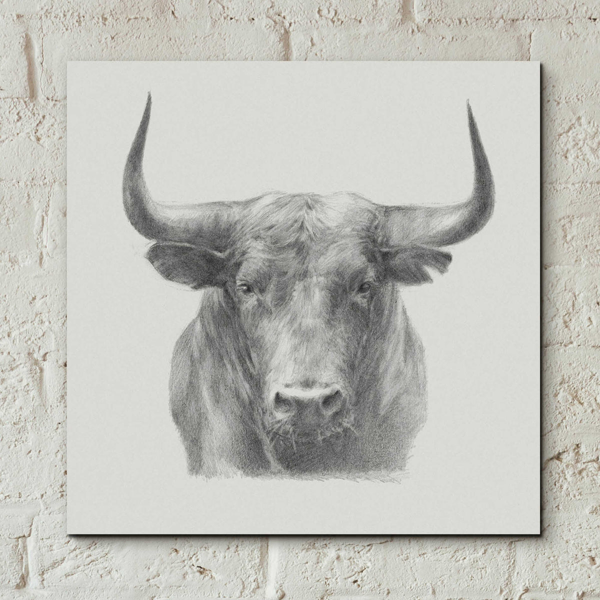 Epic Art 'Black Bull' by Ethan Harper, Acrylic Glass Wall Art,12x12