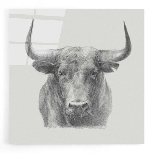 Epic Art 'Black Bull' by Ethan Harper, Acrylic Glass Wall Art