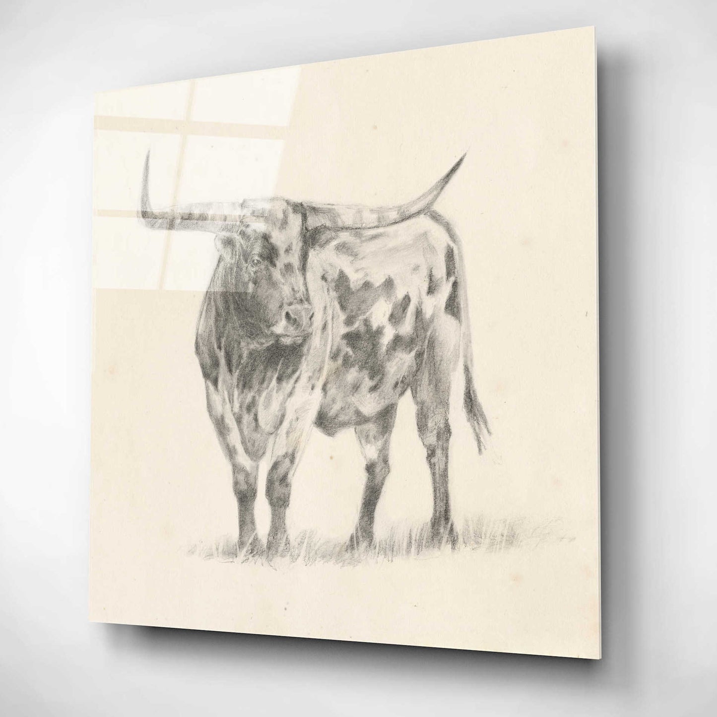 Epic Art 'Longhorn Steer Sketch II' by Ethan Harper, Acrylic Glass Wall Art,12x12