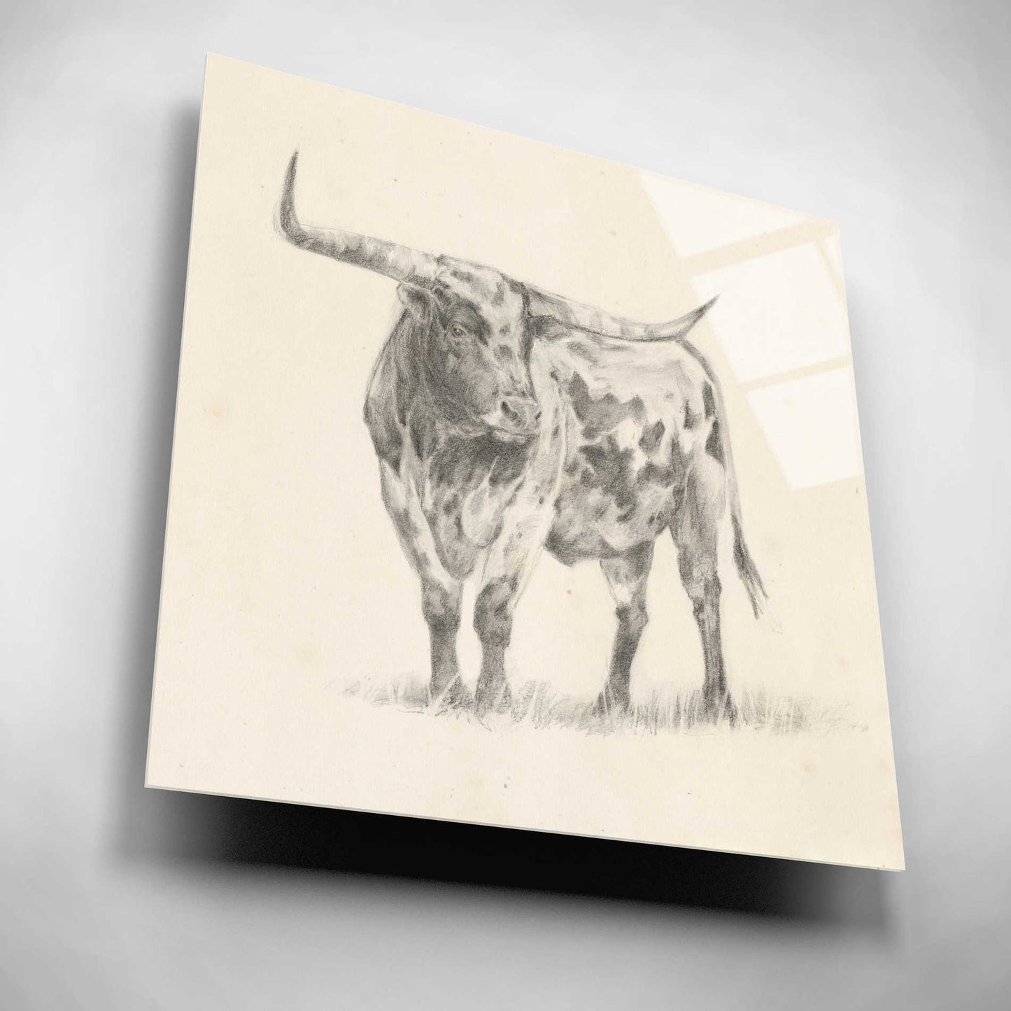 Epic Art 'Longhorn Steer Sketch II' by Ethan Harper, Acrylic Glass Wall Art,12x12