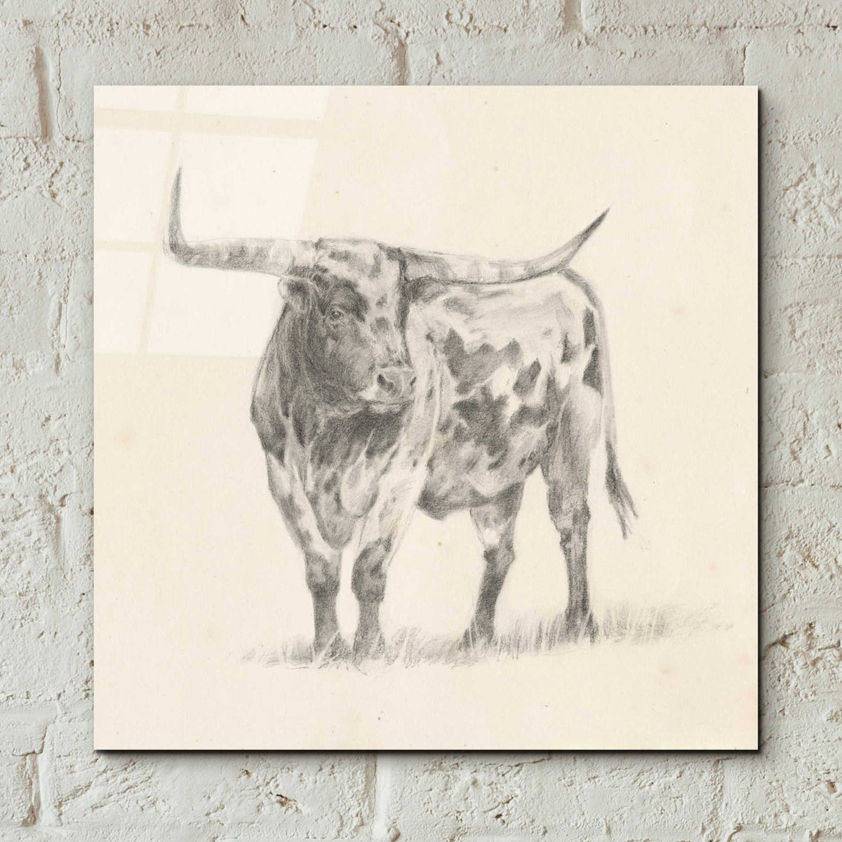 Epic Art 'Longhorn Steer Sketch II' by Ethan Harper, Acrylic Glass Wall Art,12x12