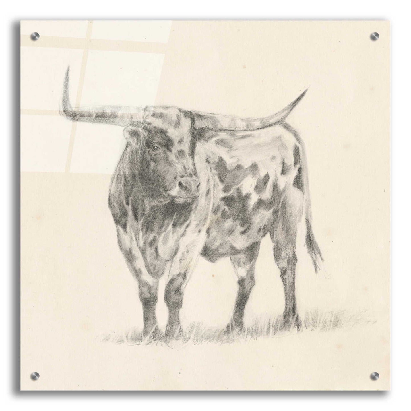 Epic Art 'Longhorn Steer Sketch II' by Ethan Harper, Acrylic Glass Wall Art,24x24