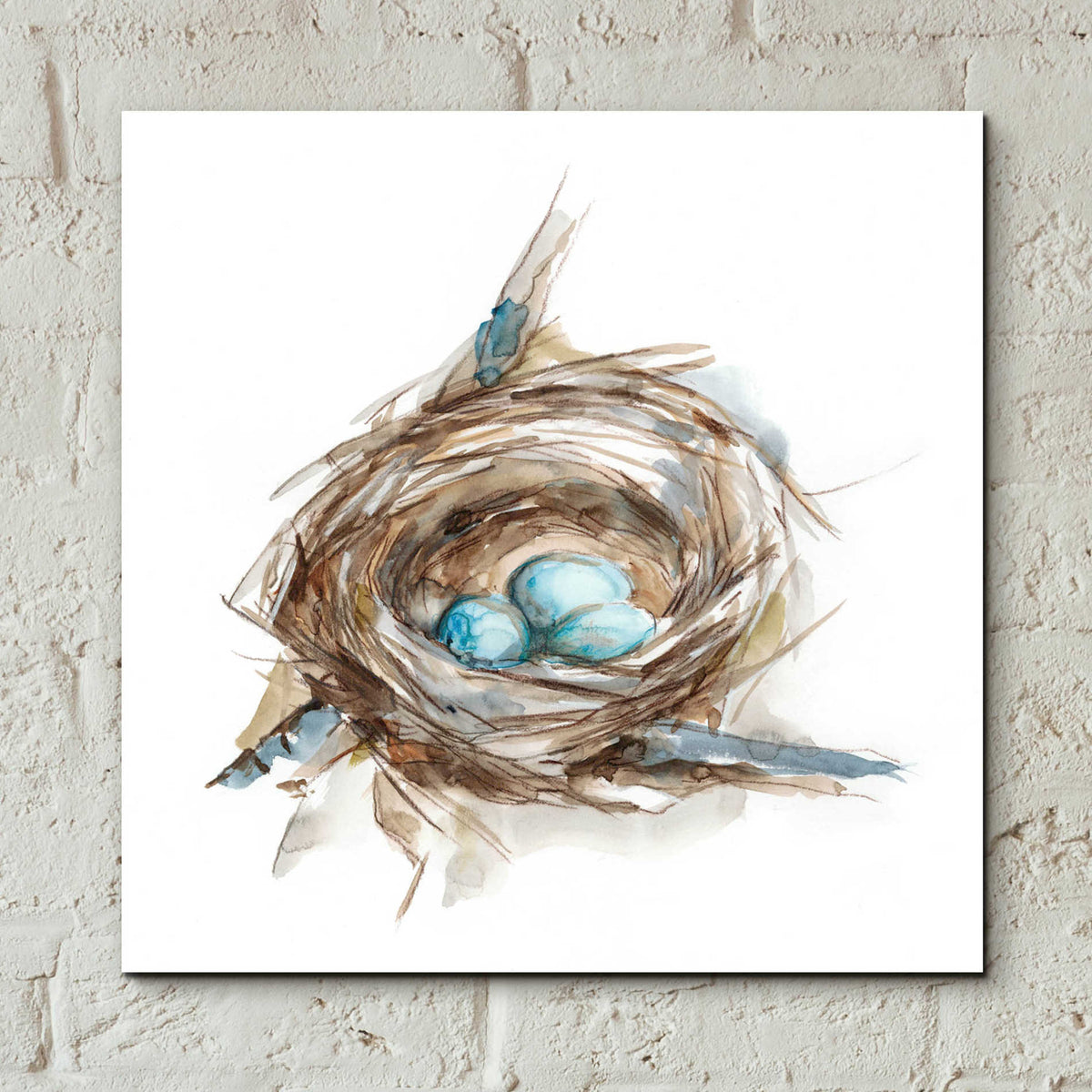 Epic Art 'Bird Nest Study II' by Ethan Harper, Acrylic Glass Wall Art,12x12