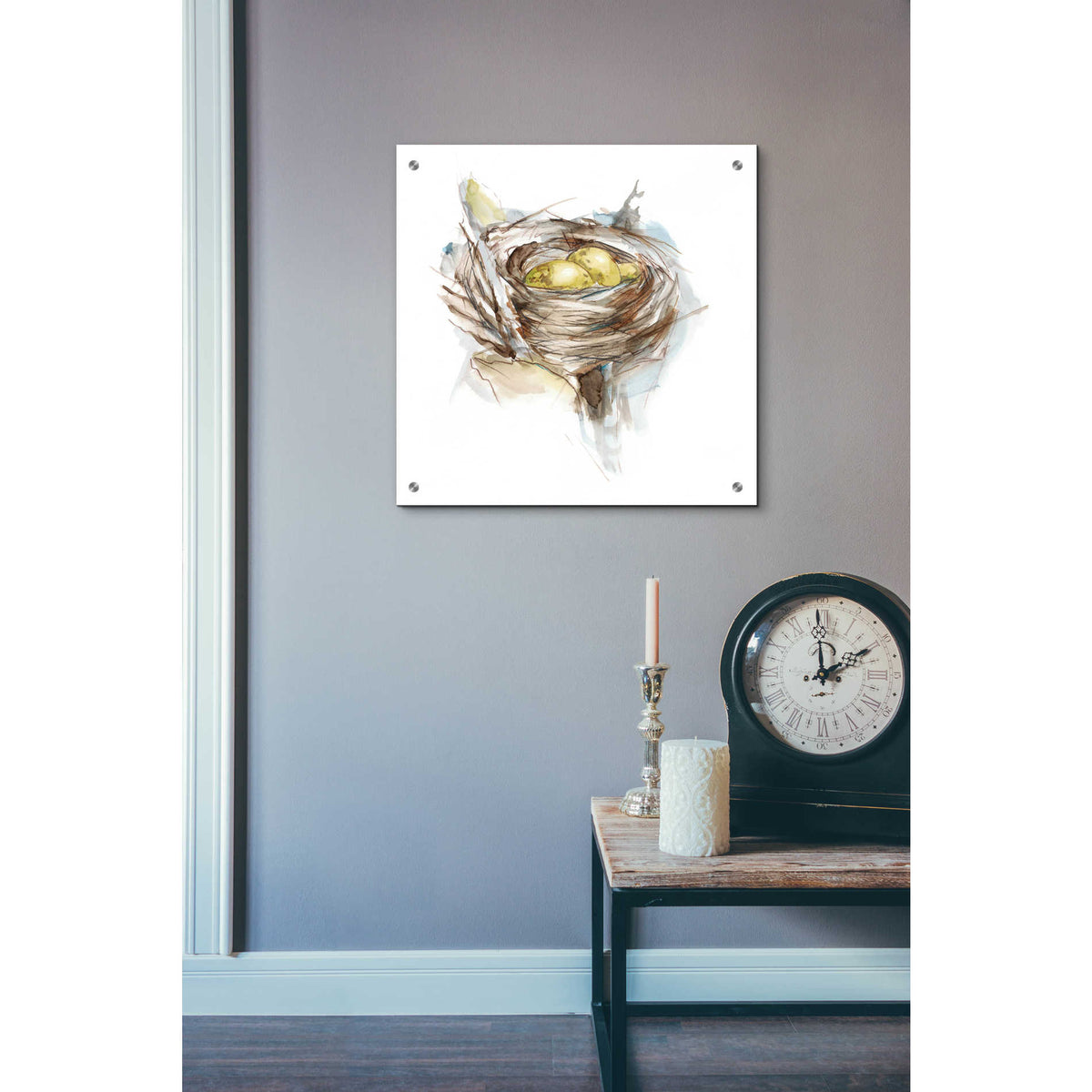 Epic Art 'Bird Nest Study III' by Ethan Harper, Acrylic Glass Wall Art,24x24