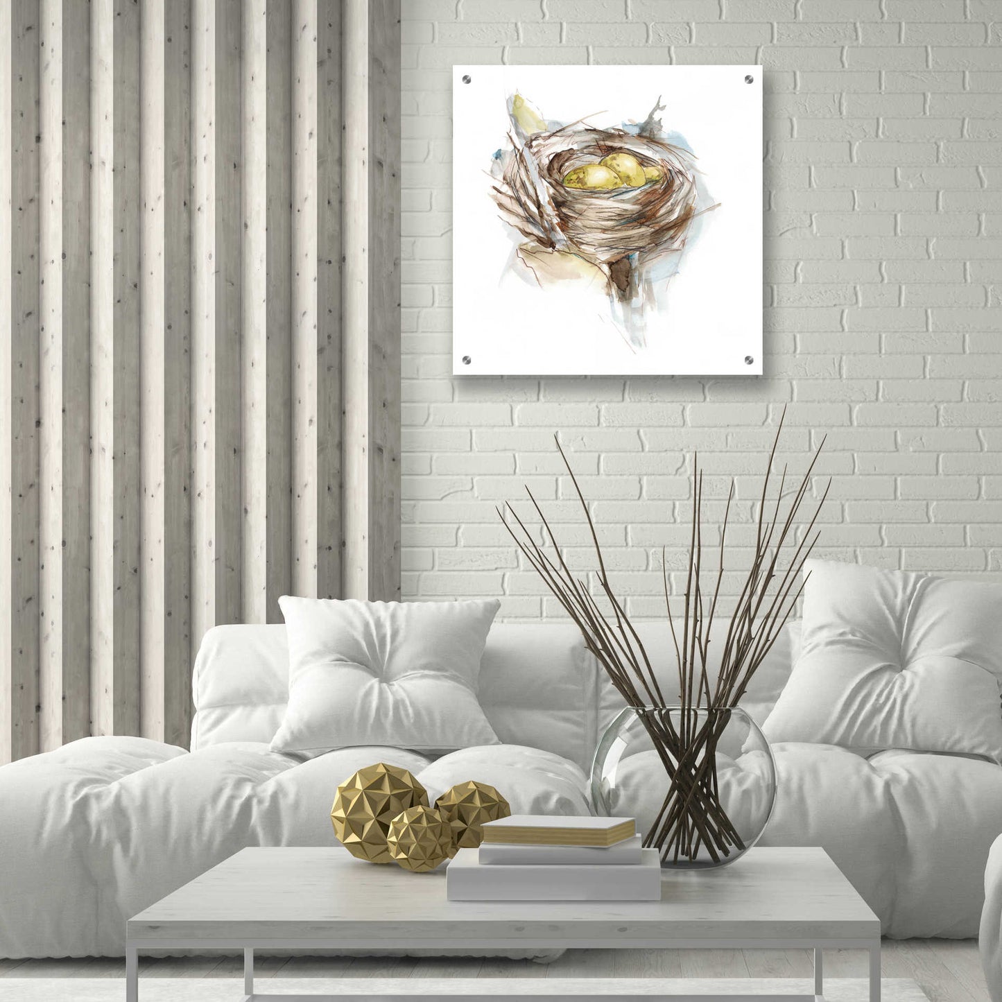 Epic Art 'Bird Nest Study III' by Ethan Harper, Acrylic Glass Wall Art,24x24
