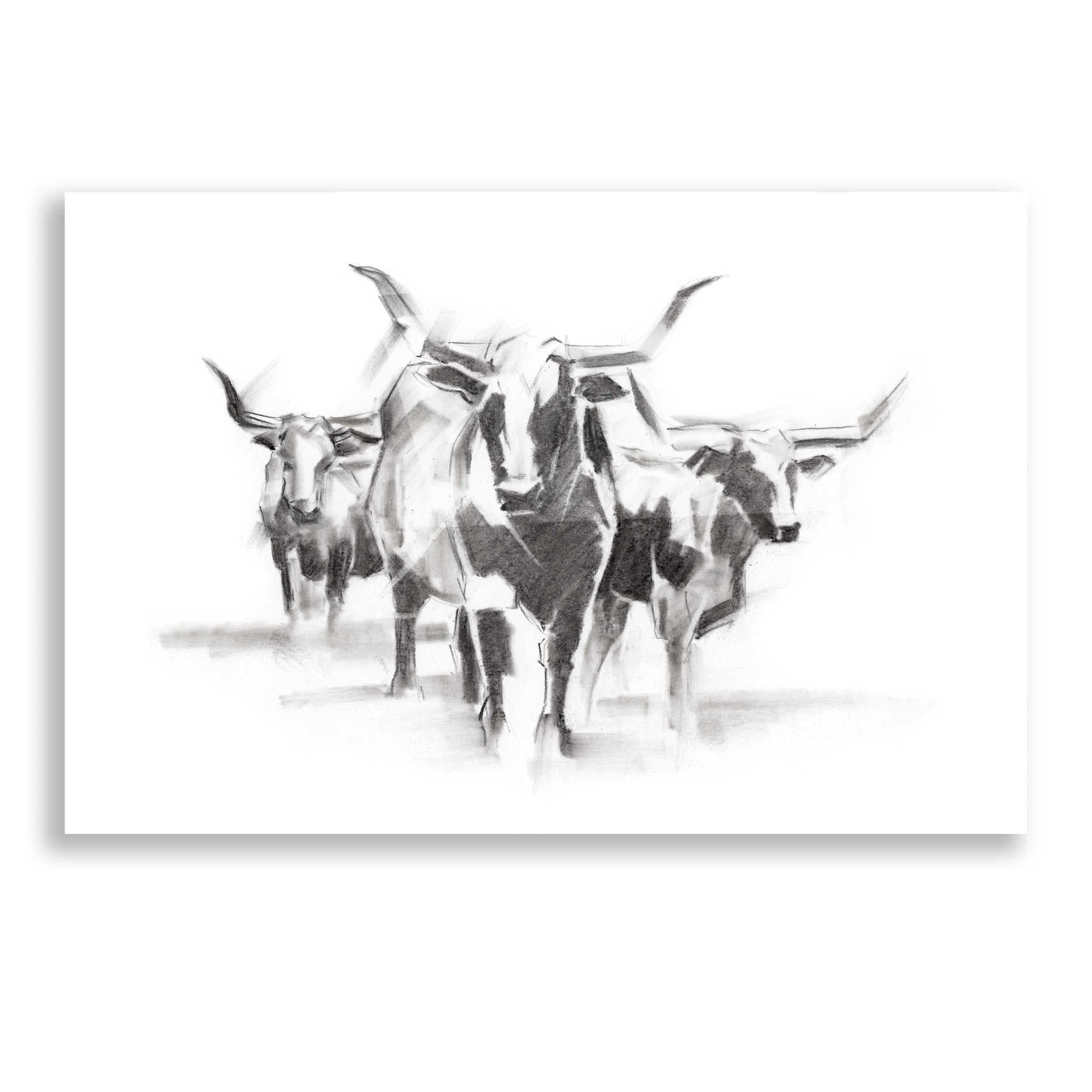 Epic Art 'Contemporary Cattle I' by Ethan Harper, Acrylic Glass Wall Art,16x12