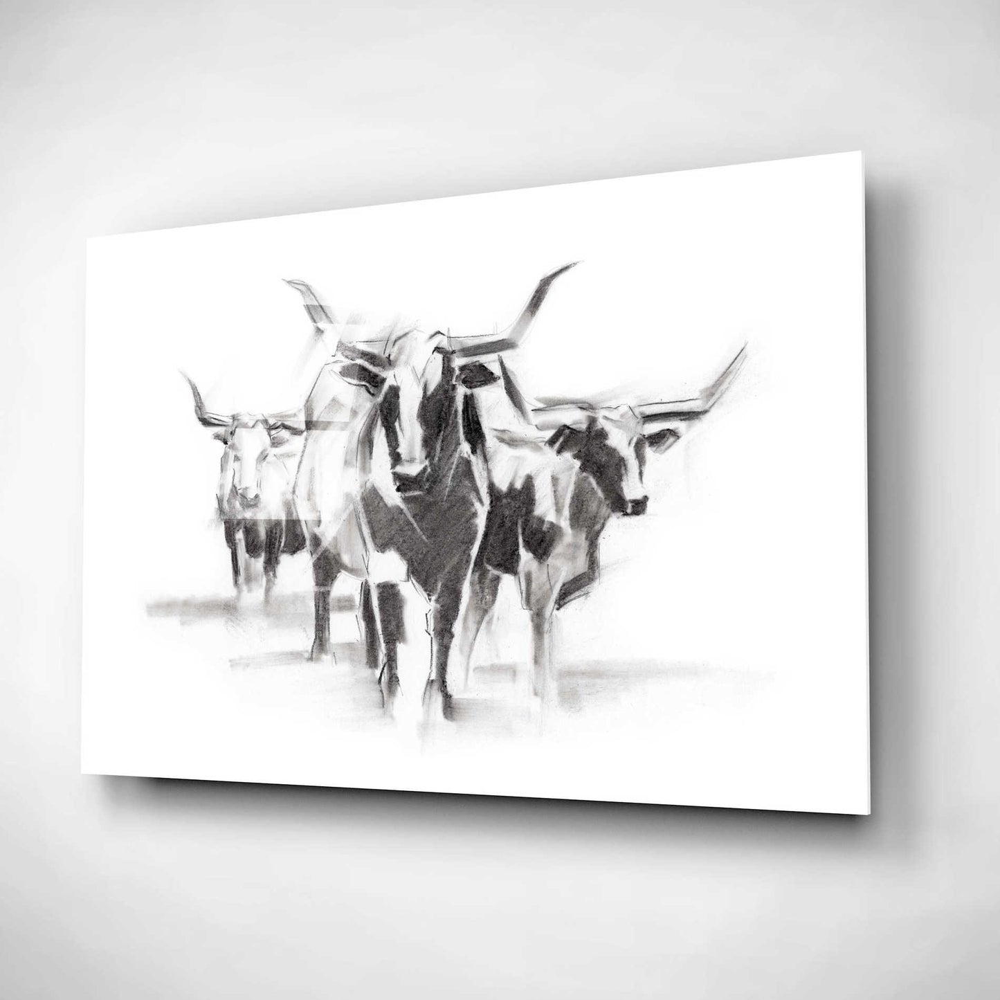 Epic Art 'Contemporary Cattle I' by Ethan Harper, Acrylic Glass Wall Art,24x16