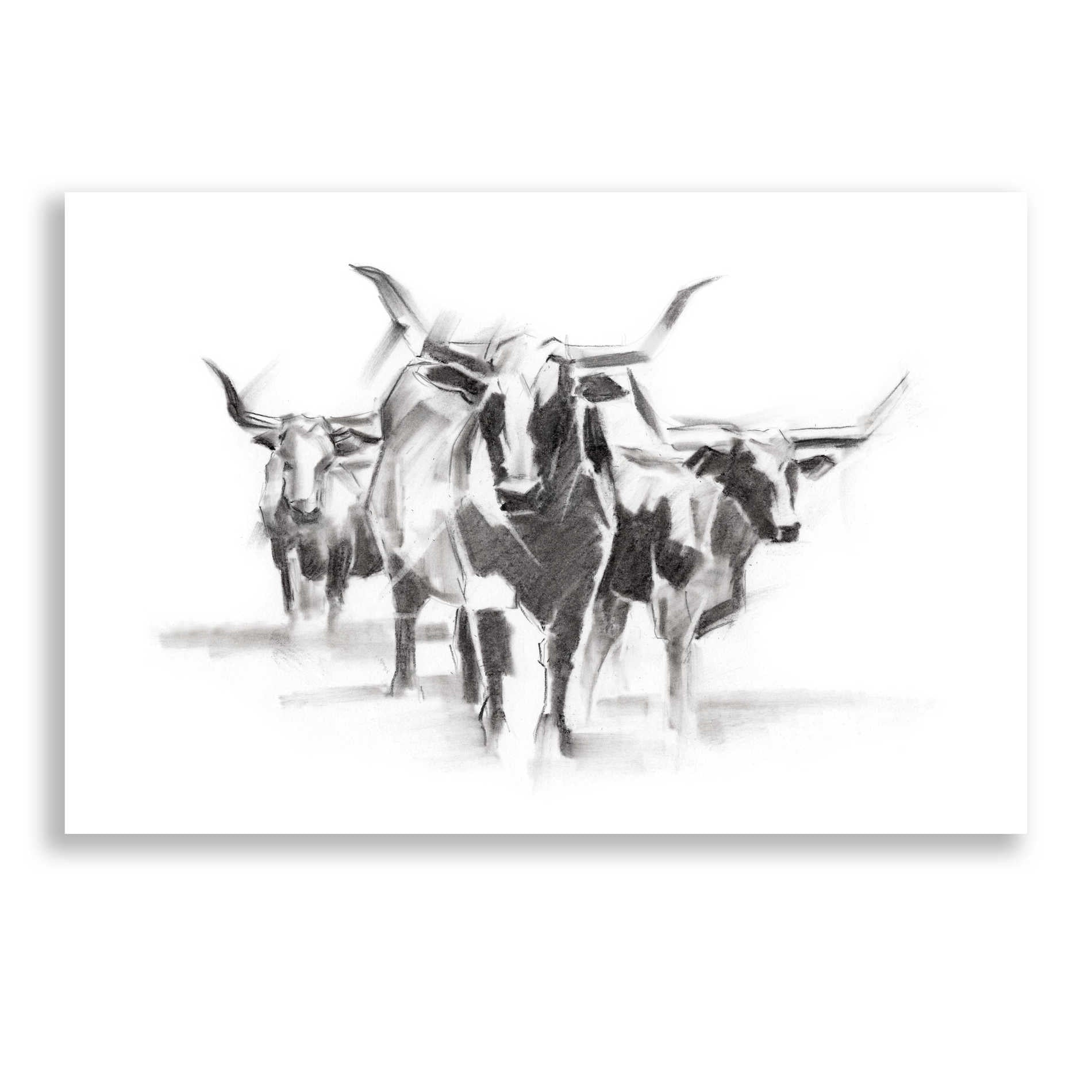 Epic Art 'Contemporary Cattle I' by Ethan Harper, Acrylic Glass Wall Art,24x16