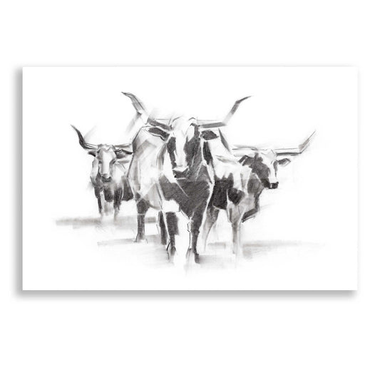 Epic Art 'Contemporary Cattle I' by Ethan Harper, Acrylic Glass Wall Art