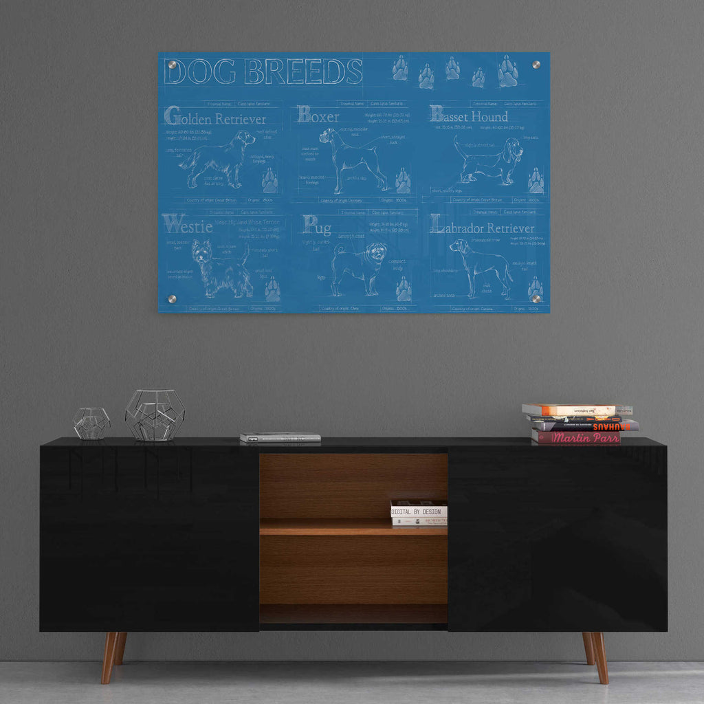 Epic Art 'Dog Breeds Infograph' by Ethan Harper, Acrylic Glass Wall Art,36x24