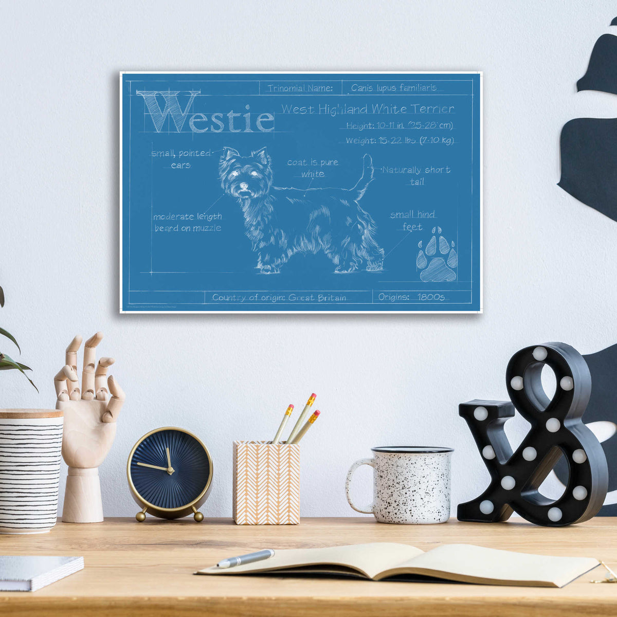 Epic Art 'Blueprint Westie' by Ethan Harper, Acrylic Glass Wall Art,16x12