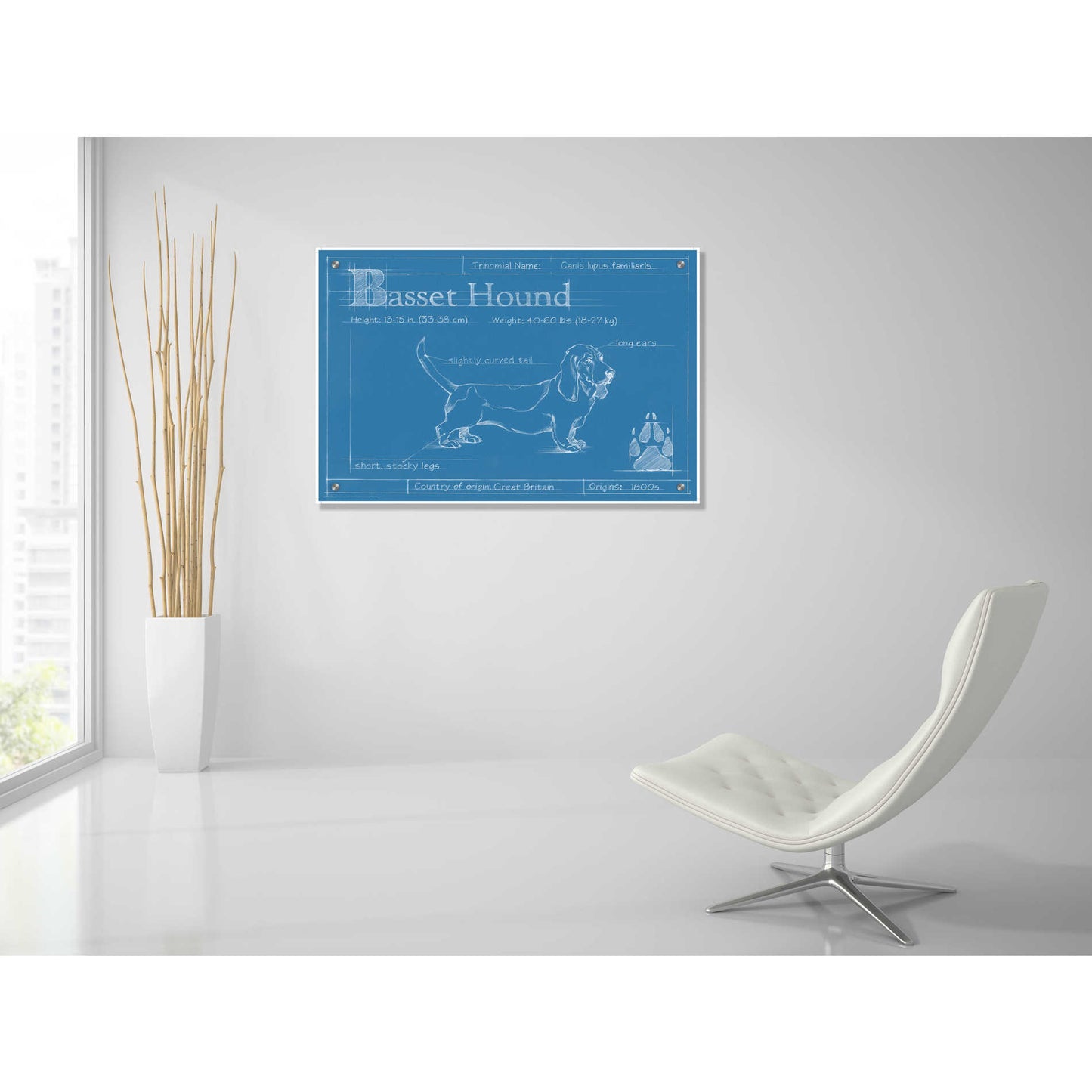Epic Art 'Blueprint Basset Hound' by Ethan Harper, Acrylic Glass Wall Art,36x24