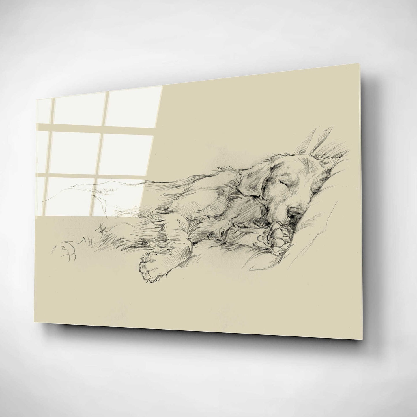 Epic Art 'Dog Days III' by Ethan Harper, Acrylic Glass Wall Art,16x12