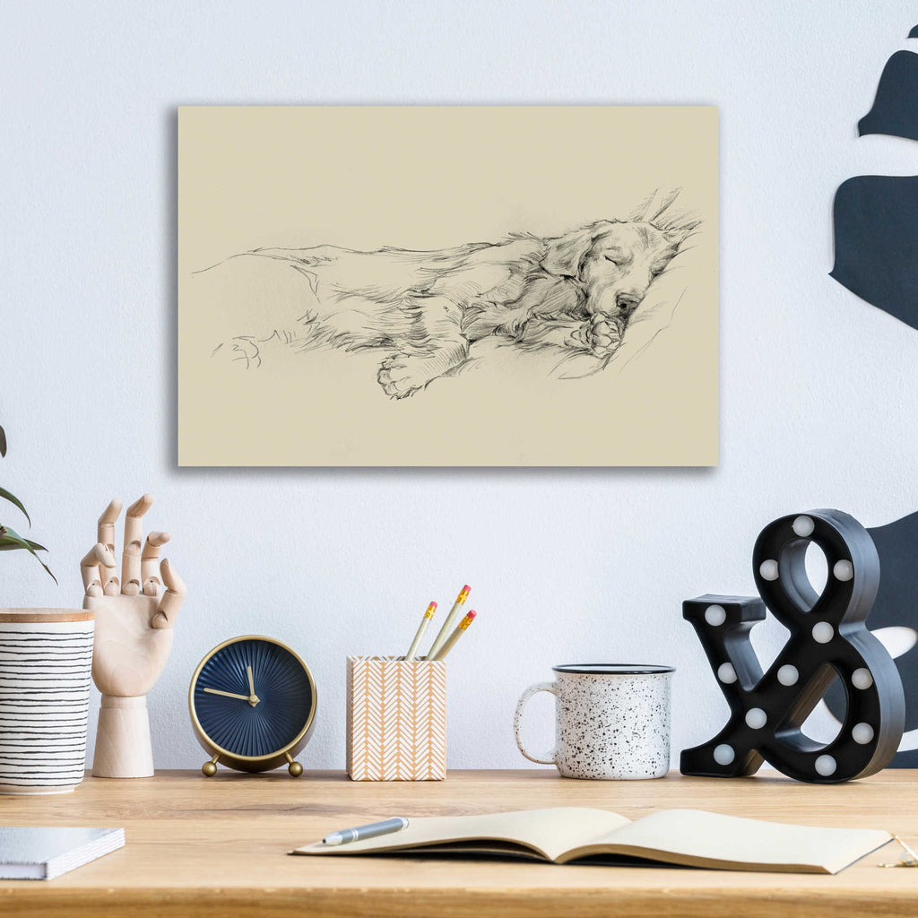 Epic Art 'Dog Days III' by Ethan Harper, Acrylic Glass Wall Art,16x12