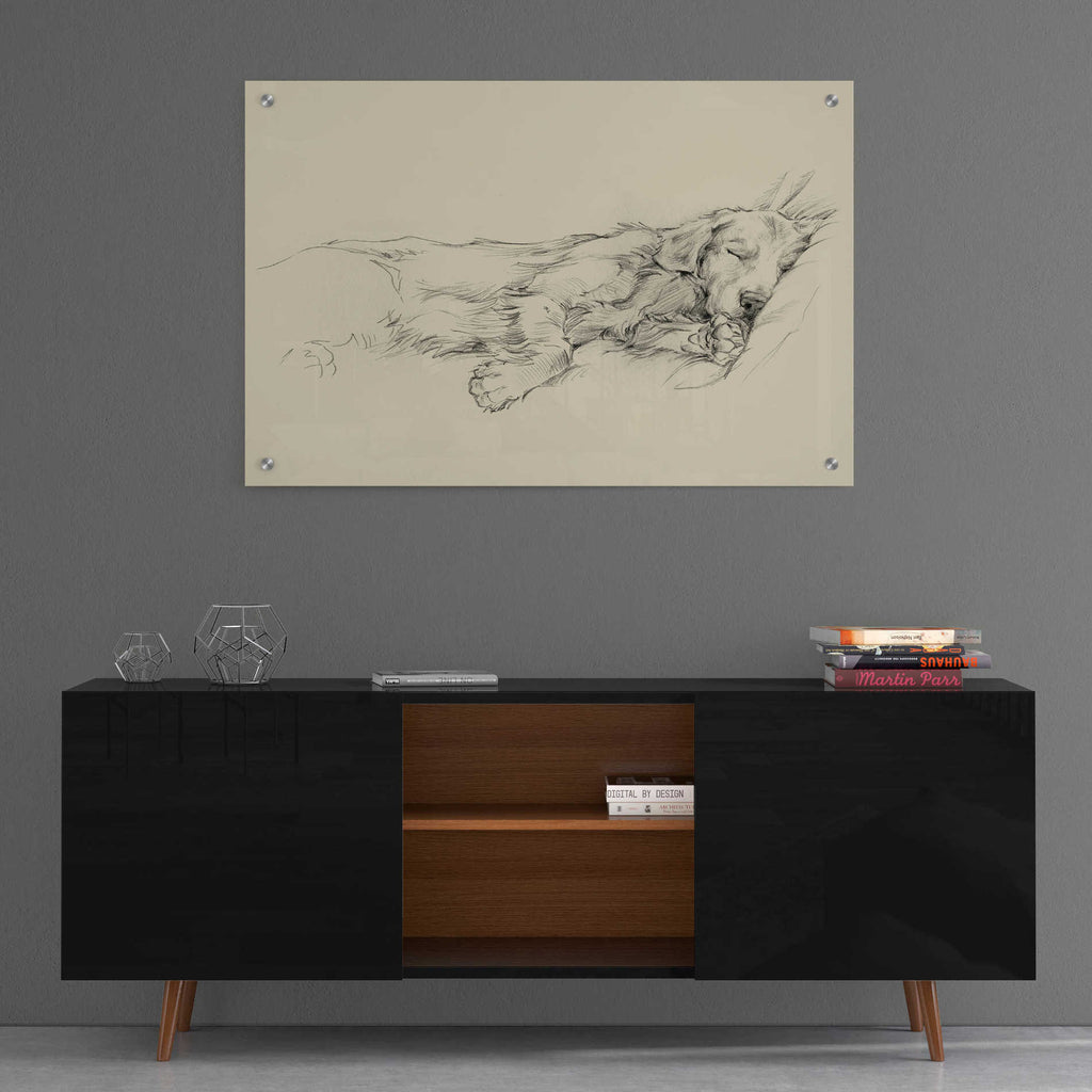 Epic Art 'Dog Days III' by Ethan Harper, Acrylic Glass Wall Art,36x24