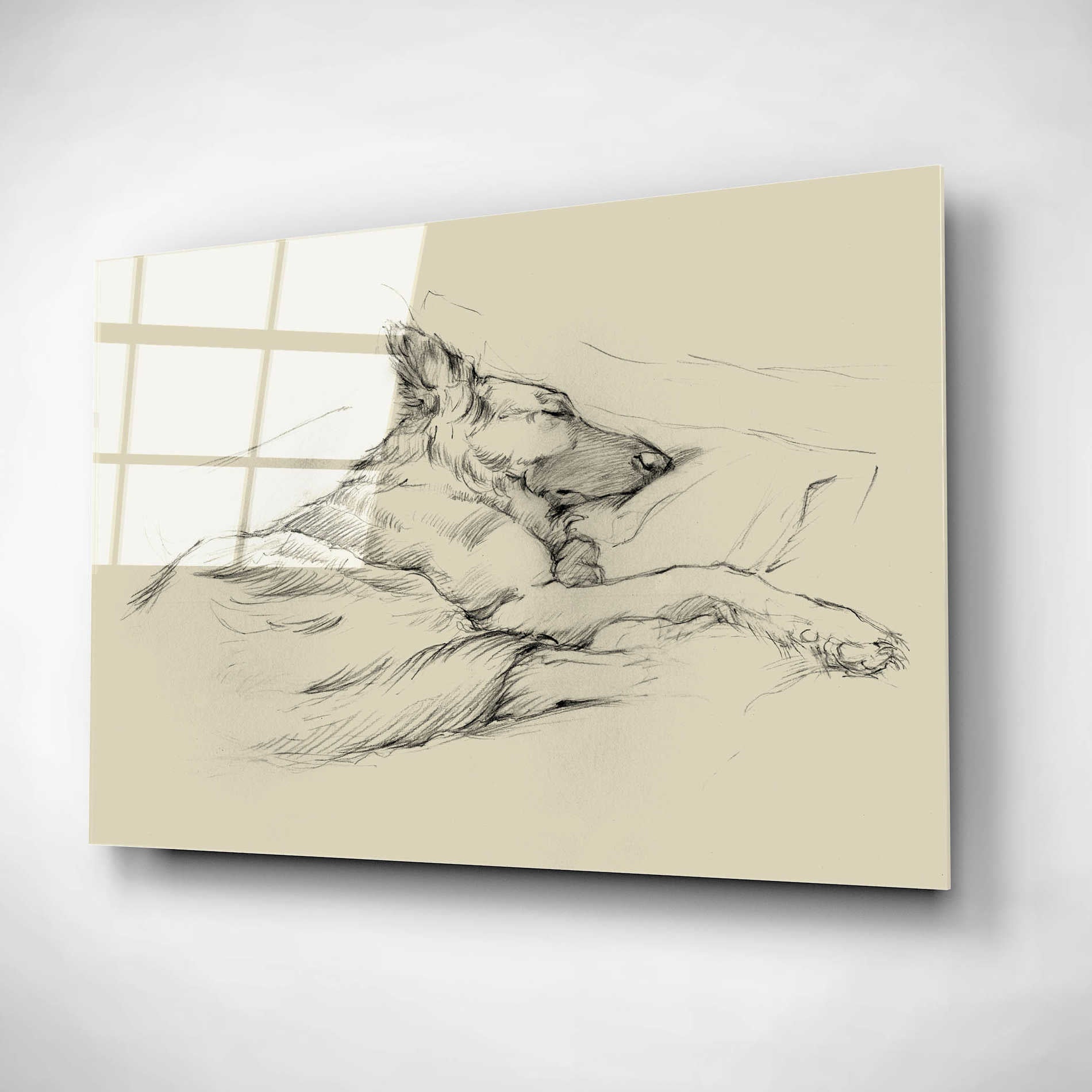 Epic Art 'Dog Days IV' by Ethan Harper, Acrylic Glass Wall Art,16x12