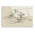 Epic Art 'Dog Days IV' by Ethan Harper, Acrylic Glass Wall Art
