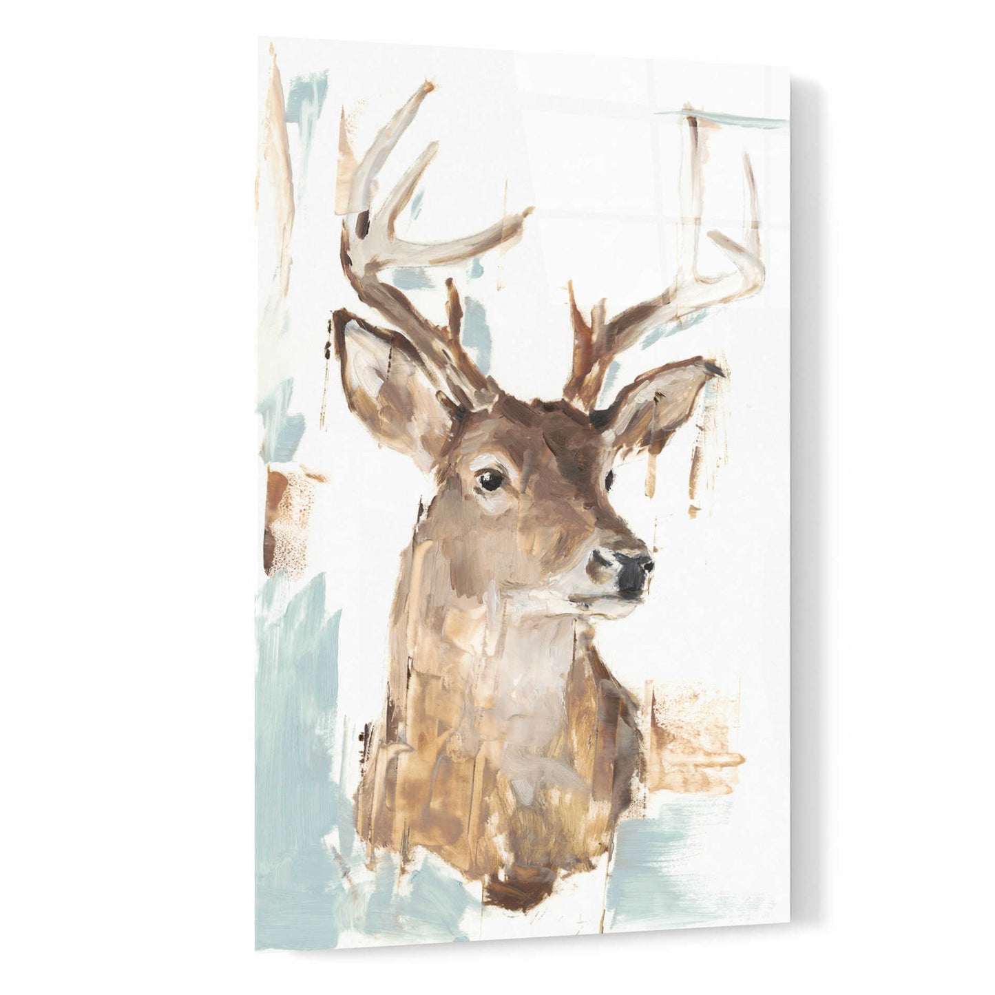 Epic Art 'Modern Deer Mount I' by Ethan Harper, Acrylic Glass Wall Art,16x24