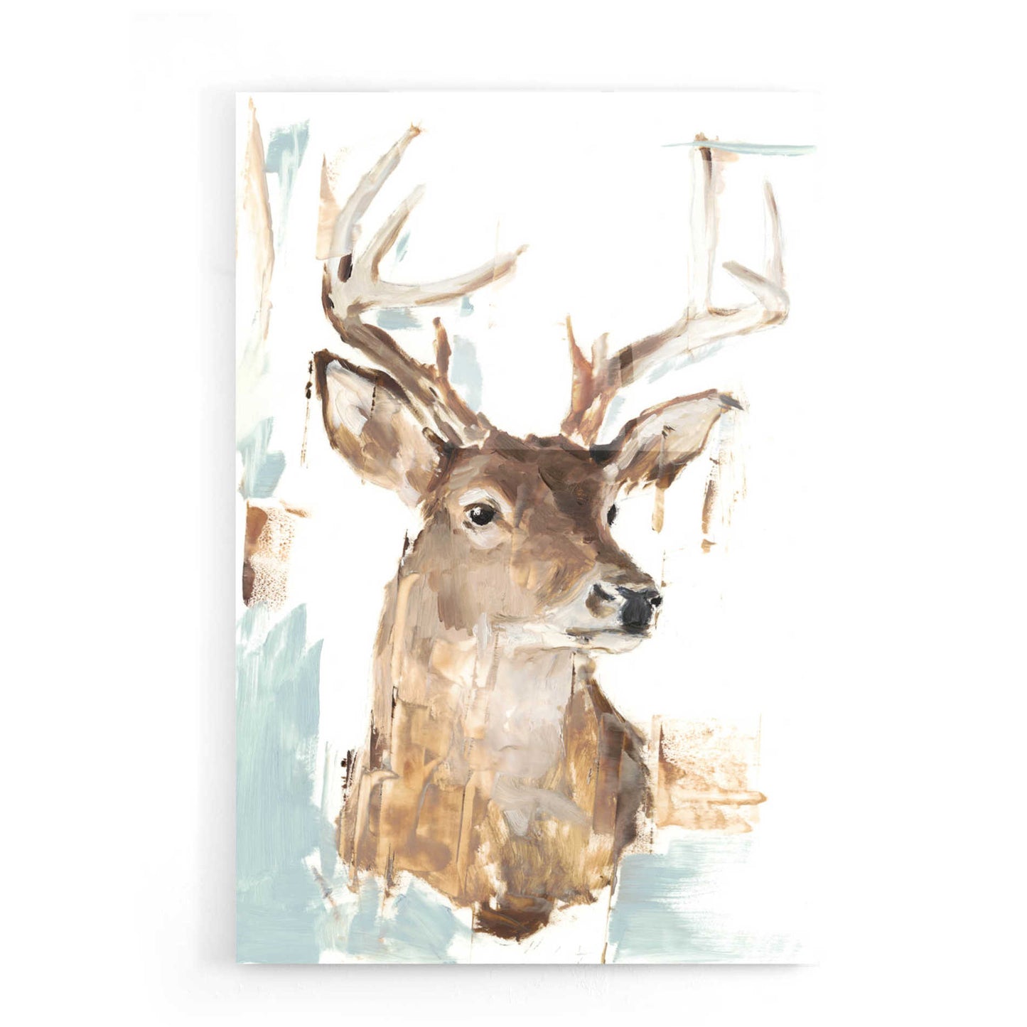 Epic Art 'Modern Deer Mount I' by Ethan Harper, Acrylic Glass Wall Art,16x24