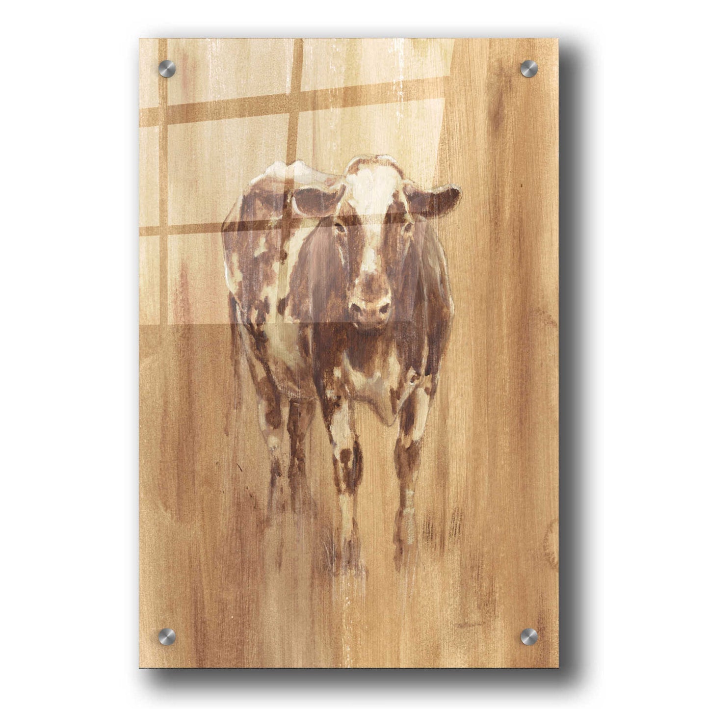 Epic Art 'Wood Panel Cow' by Ethan Harper, Acrylic Glass Wall Art,24x36