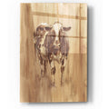 Epic Art 'Wood Panel Cow' by Ethan Harper, Acrylic Glass Wall Art