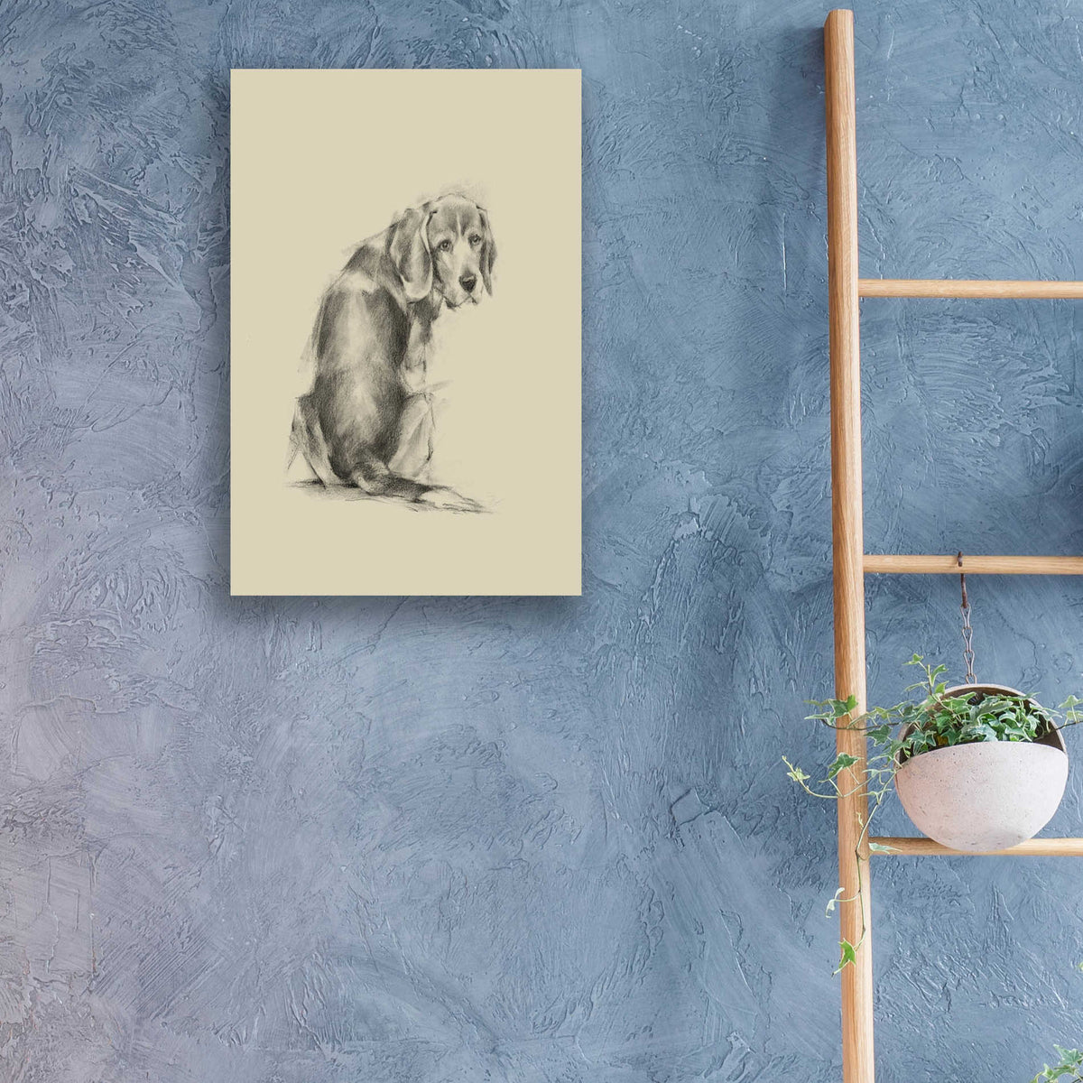 Epic Art 'Puppy Dog Eyes I' by Ethan Harper, Acrylic Glass Wall Art,16x24
