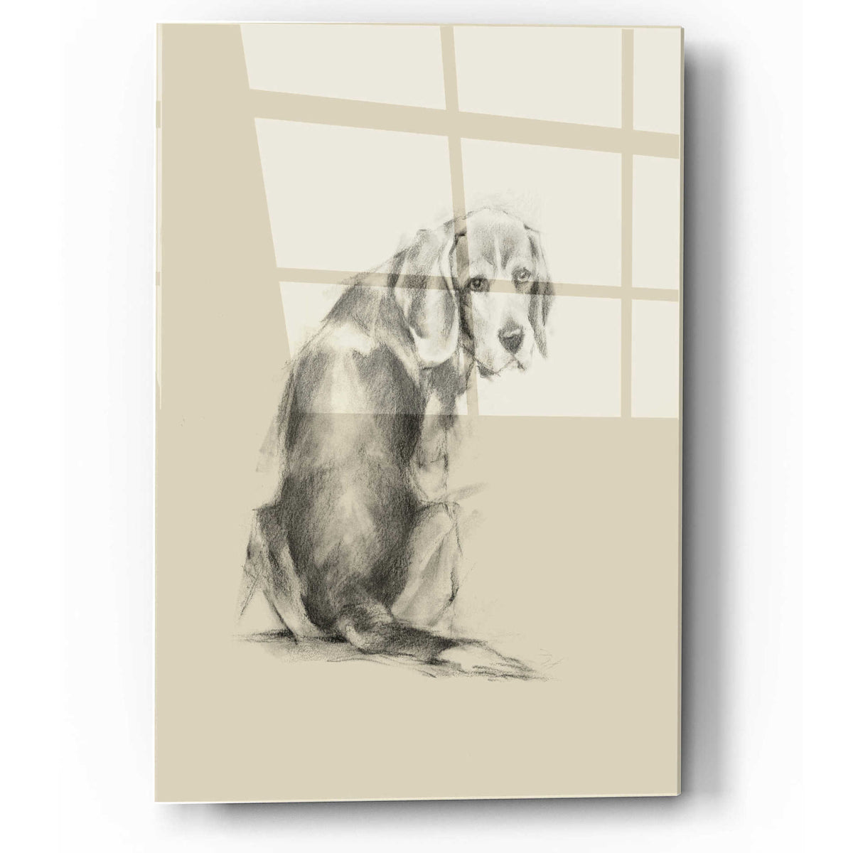 Epic Art 'Puppy Dog Eyes I' by Ethan Harper, Acrylic Glass Wall Art
