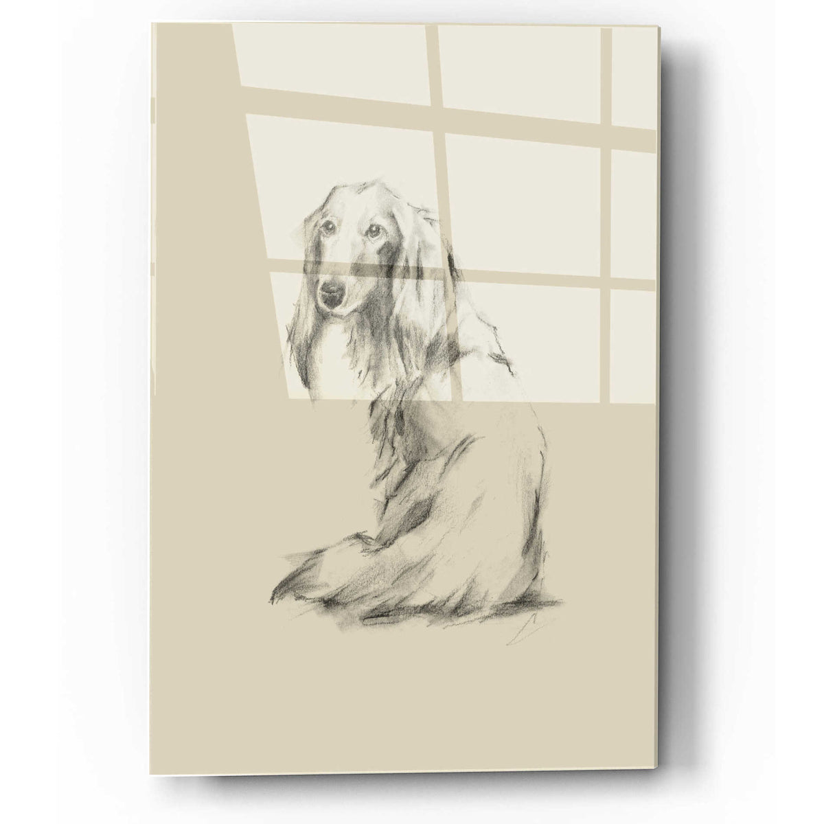 Epic Art 'Puppy Dog Eyes II' by Ethan Harper, Acrylic Glass Wall Art