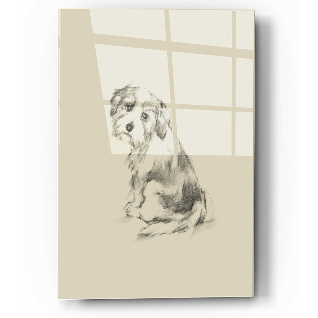 Epic Art 'Puppy Dog Eyes III' by Ethan Harper, Acrylic Glass Wall Art